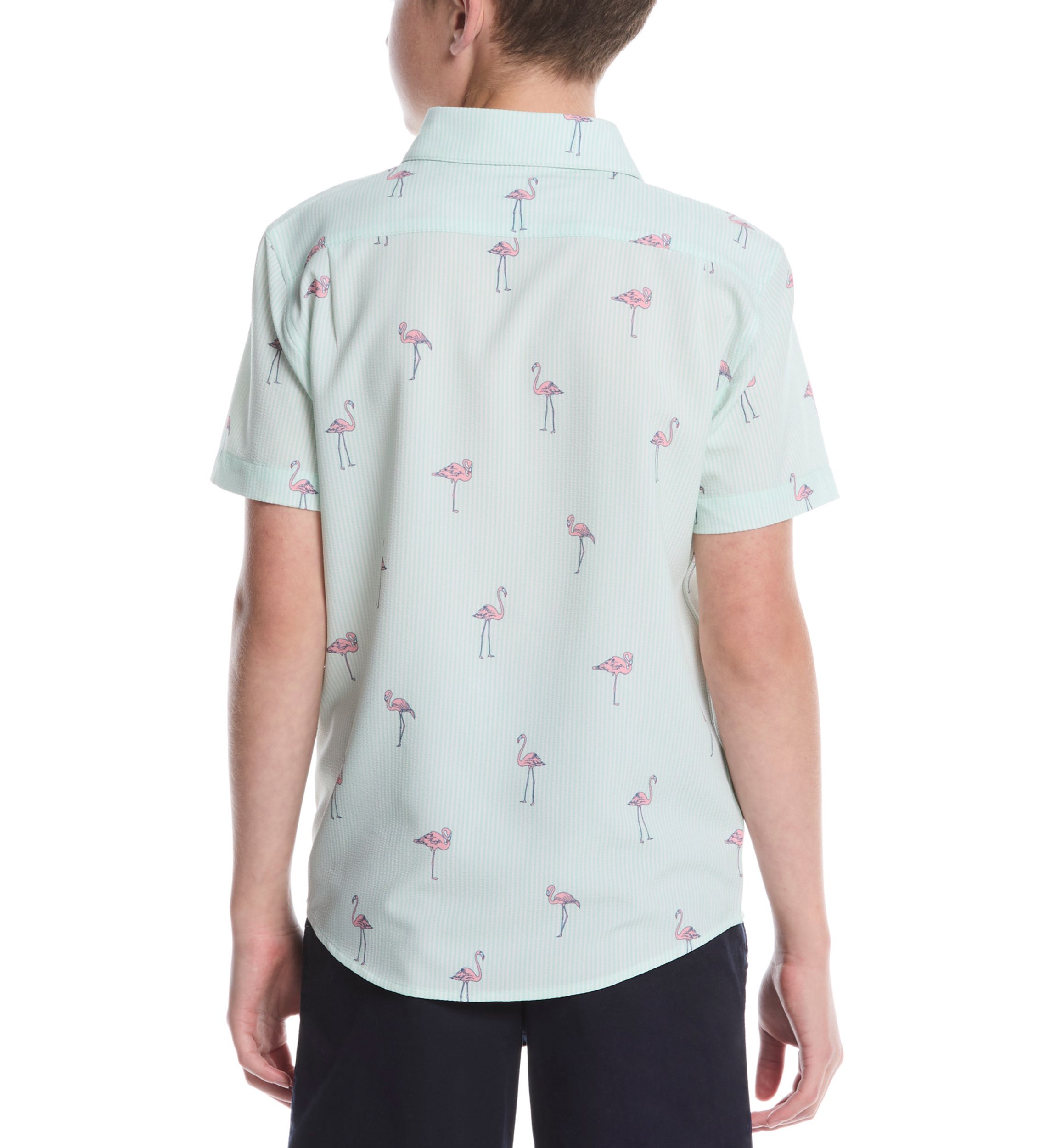 Boys 8-20 Short Sleeve Flamingo Print Woven Shirt 