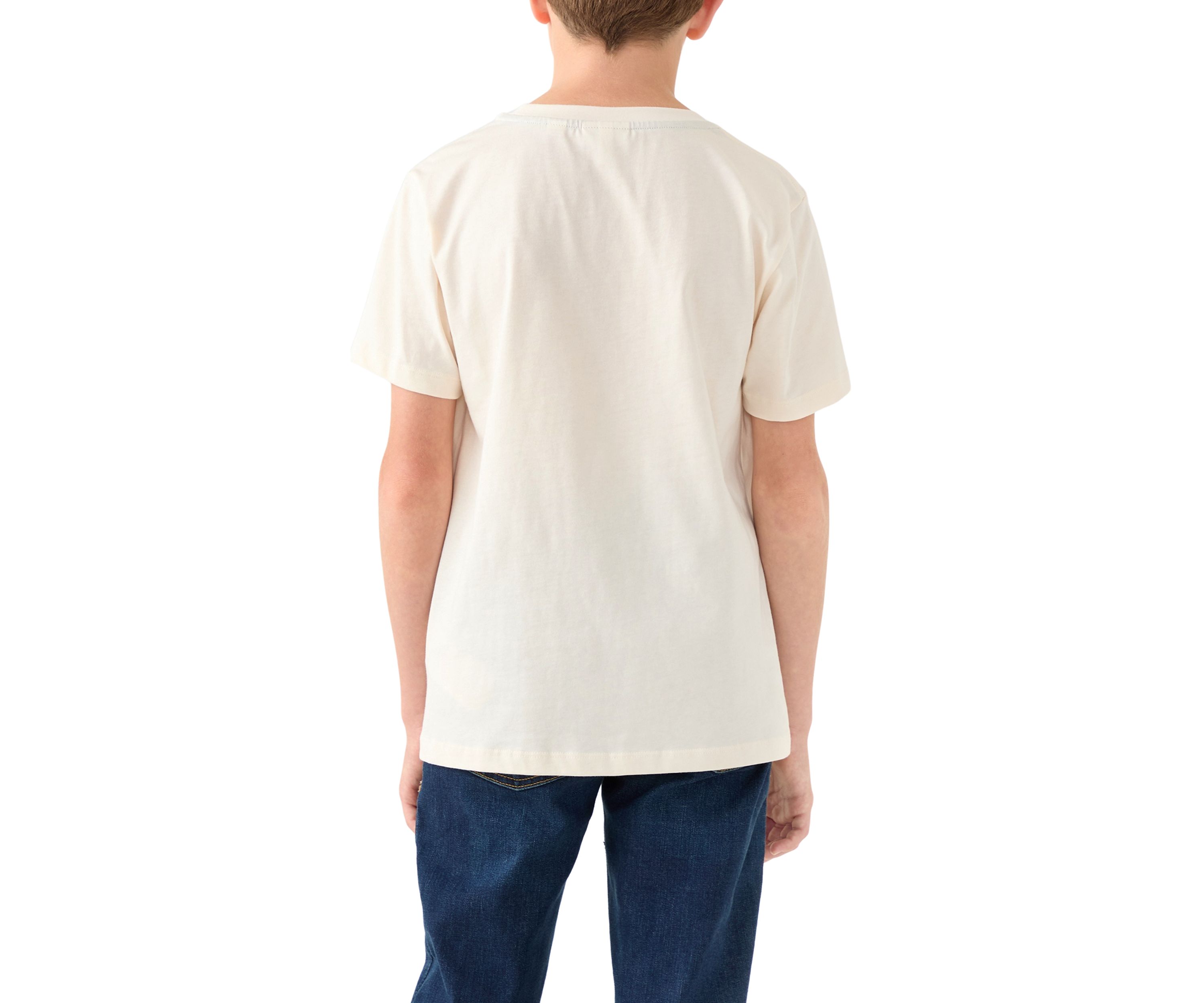 Boys 8-20 Tiny Croc Icon Graphic T-Shirt 
