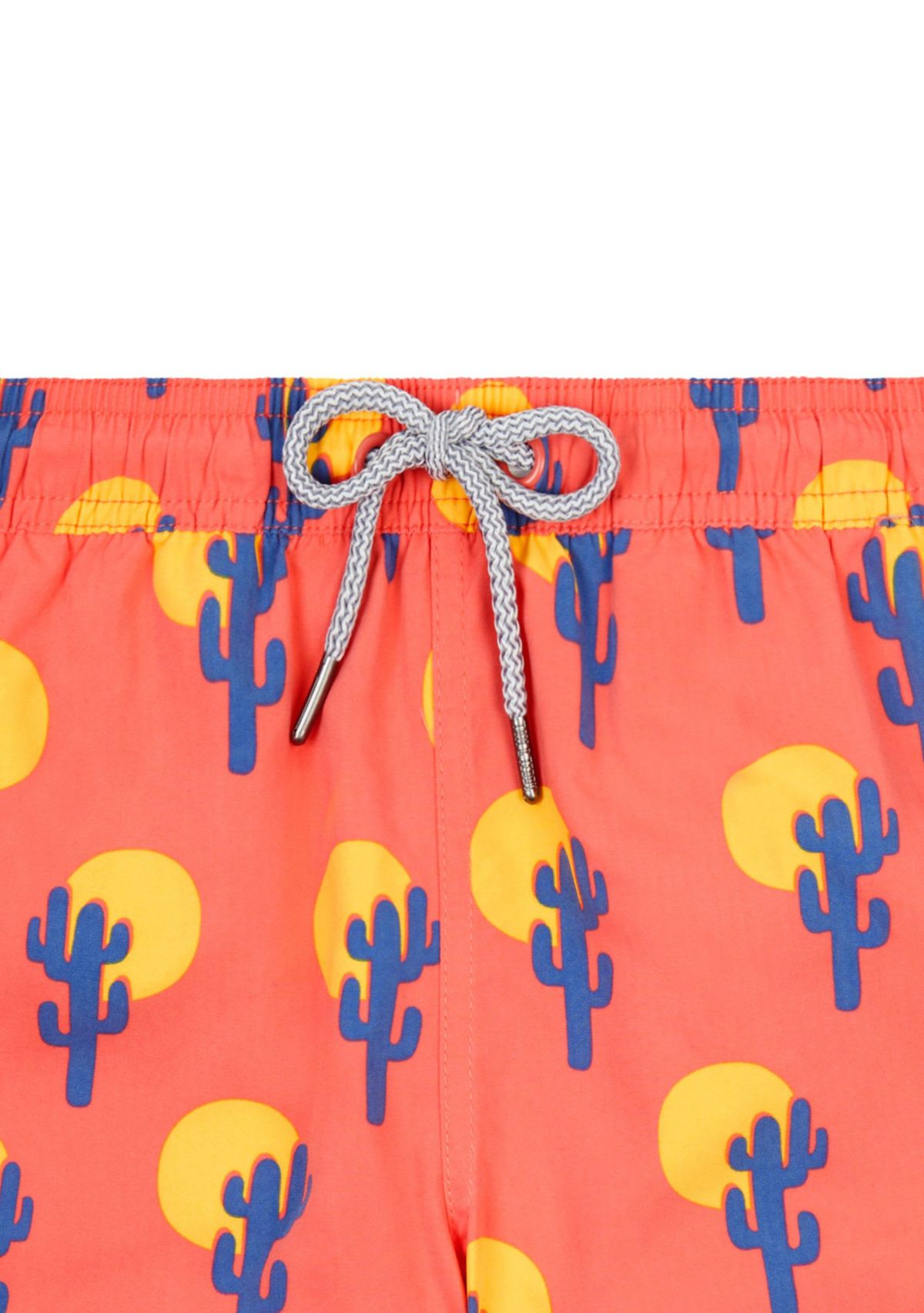 Boys 1-12 Cactus Swim Trunks