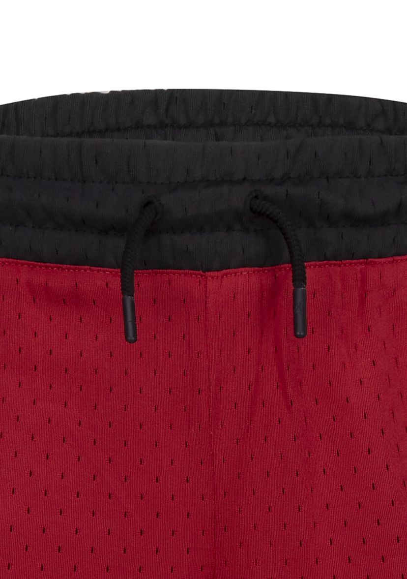 Boys 8-20 Jumpman Shorts