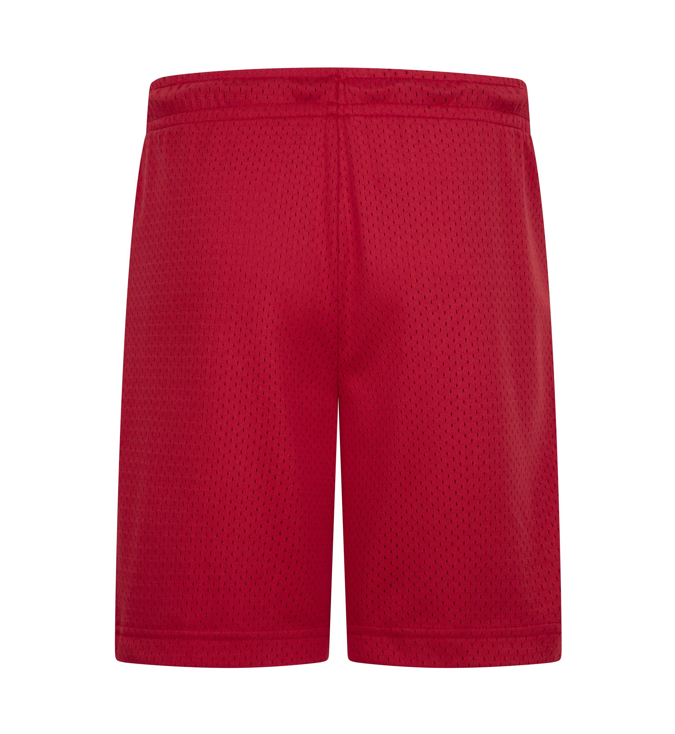 Boys 8-20 Logo Mesh Shorts