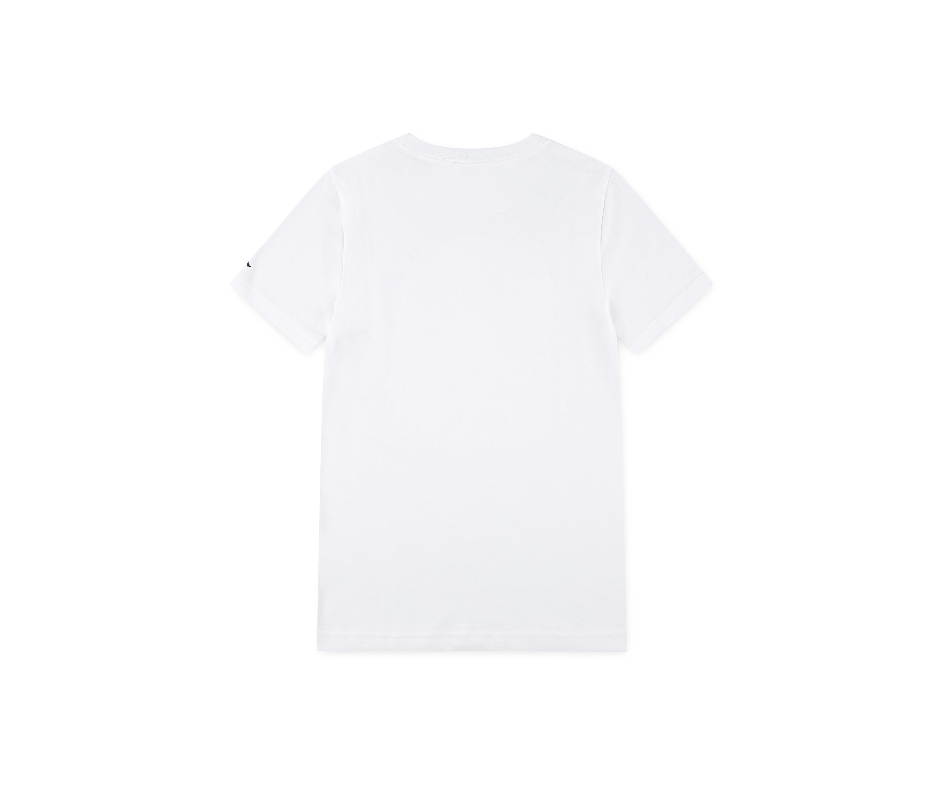 Boys 8-20 Flamingo Graphic T-Shirt