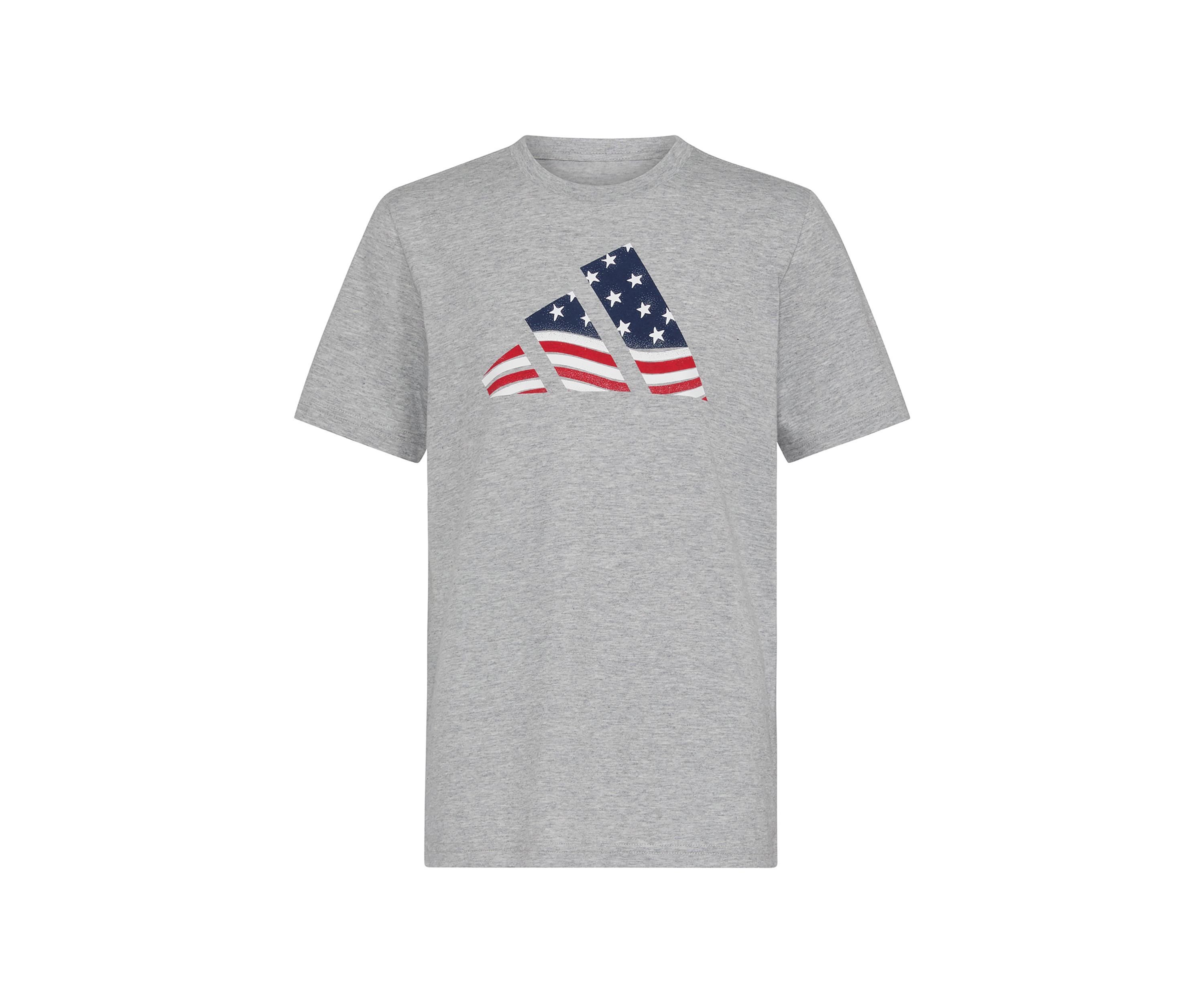 Boys 8-20 Short Sleeve USA Flag Logo T-Shirt (Extended Size)