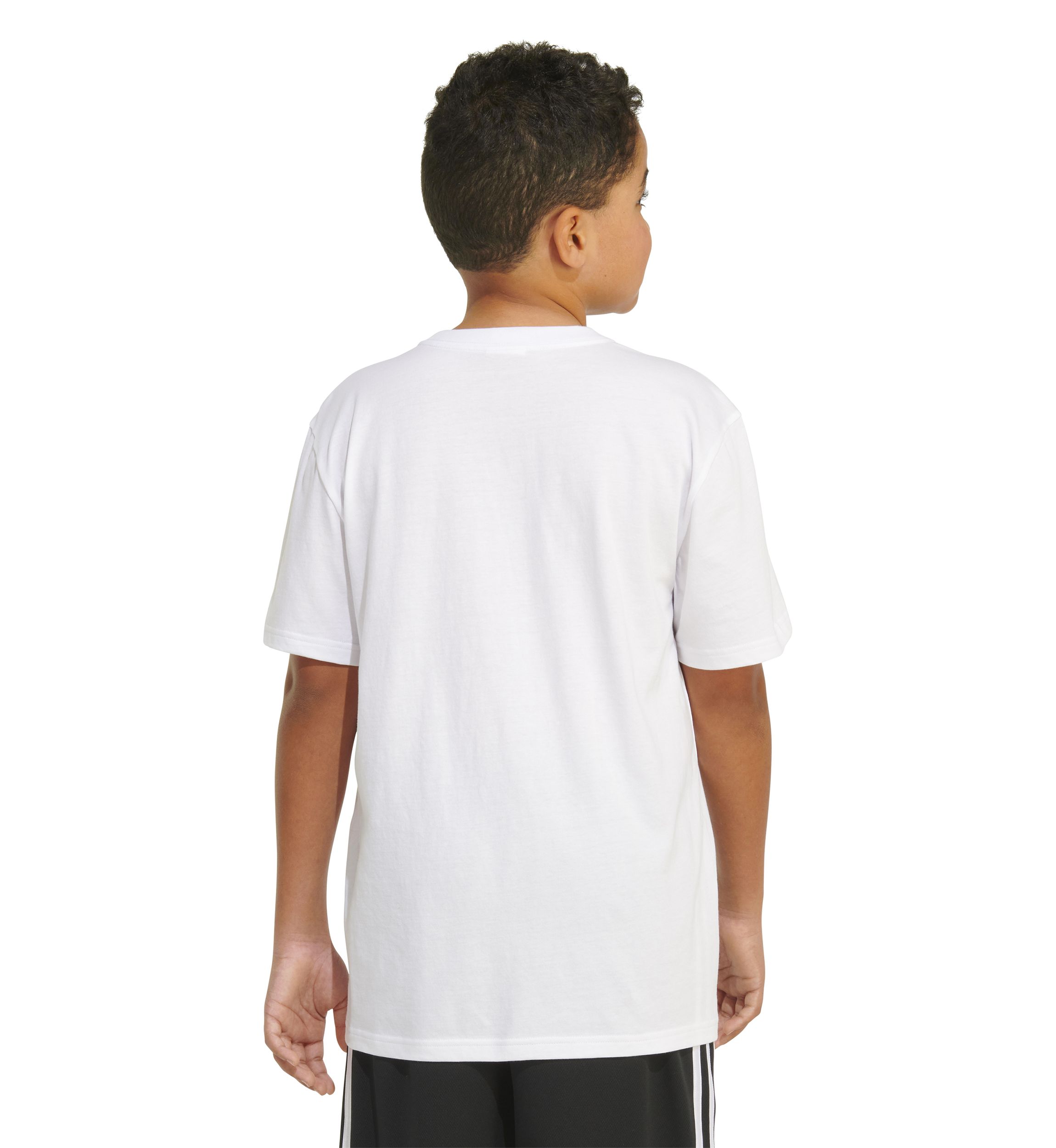 Boys 8-20 Short Sleeve Tropidelic Logo Graphic T-Shirt