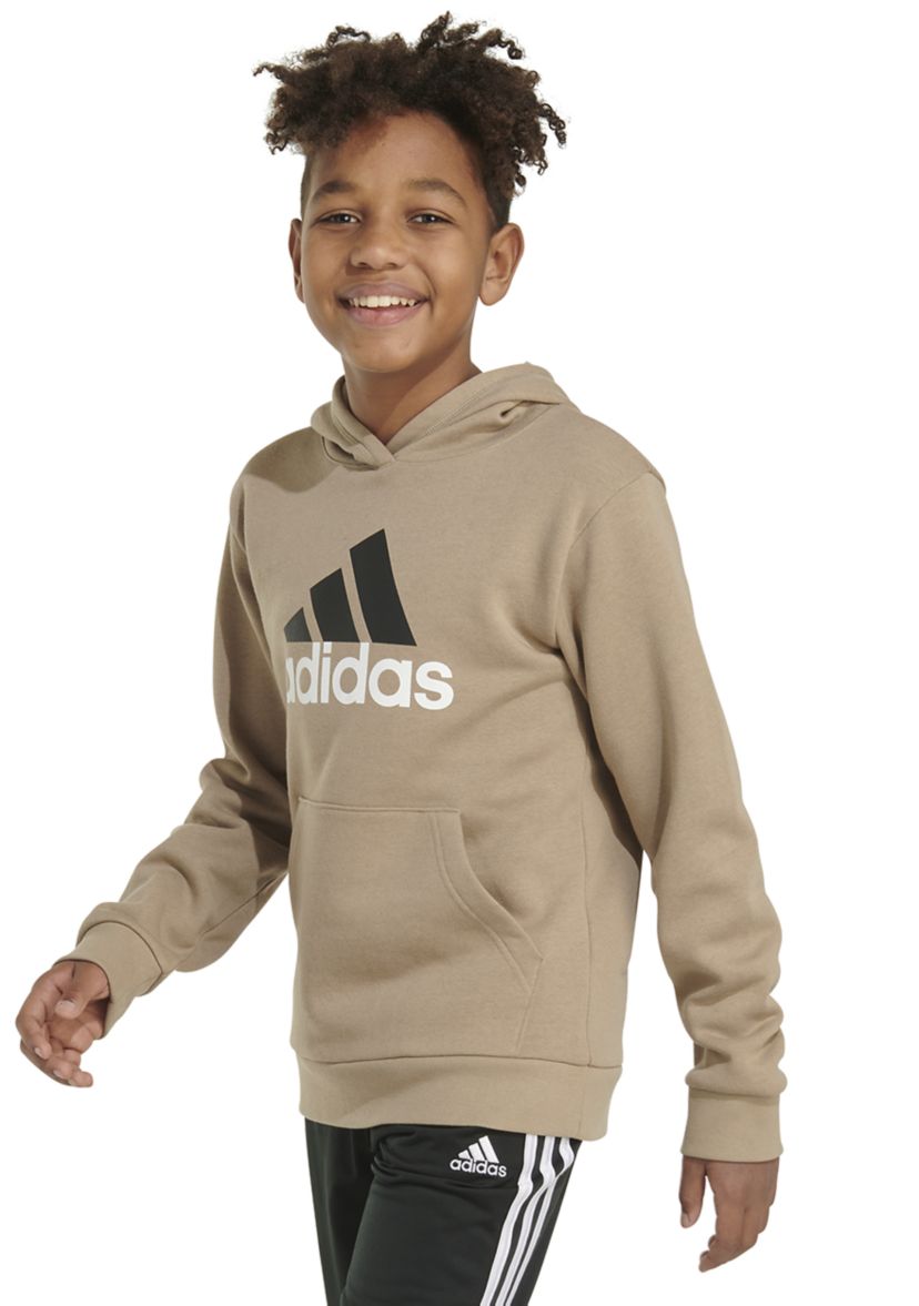 Boys 8-20 Long Sleeve Essential Hooded Pullover