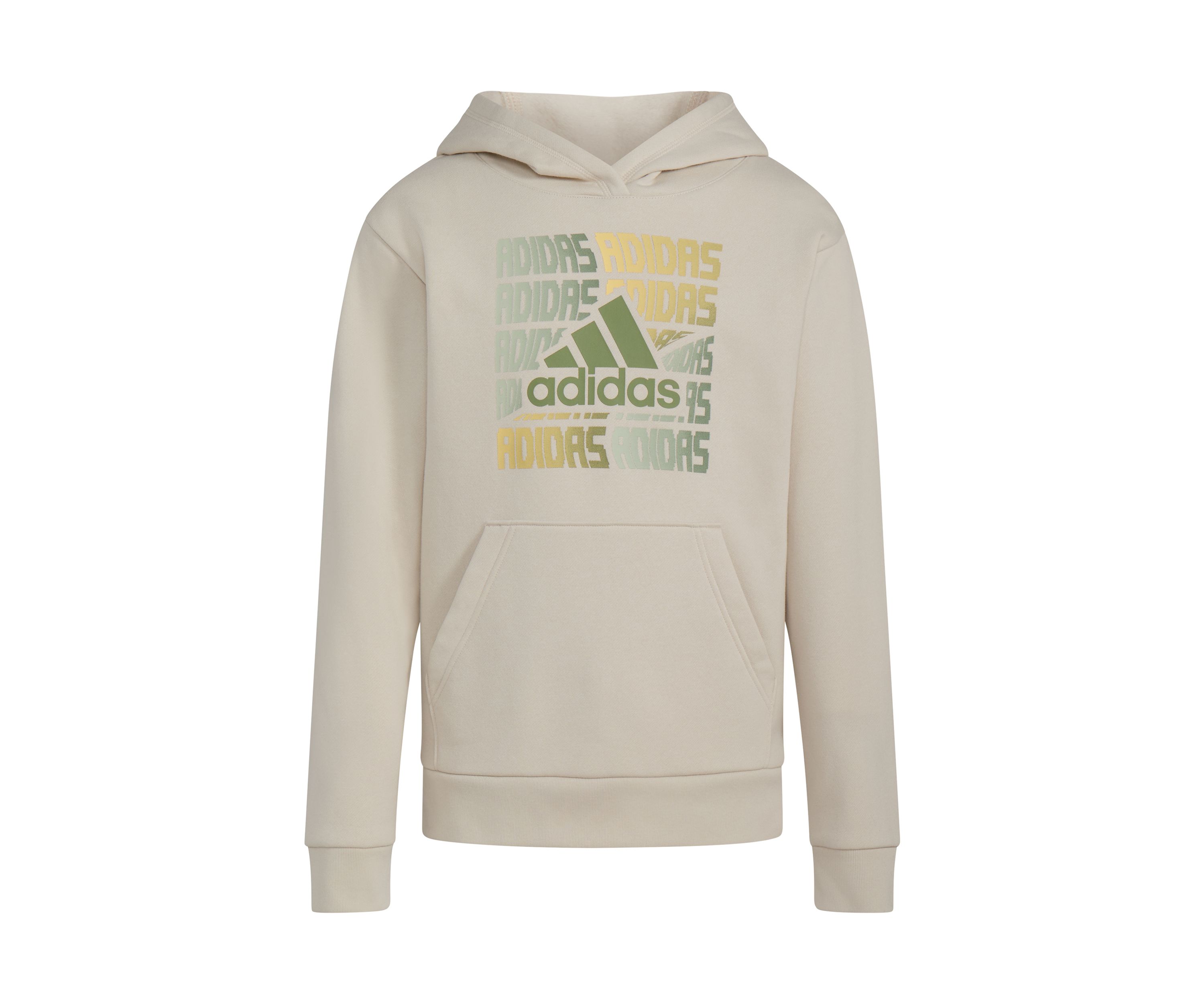 Boys 8-20 Long Sleeve Brand Graphic Hooded Pullover