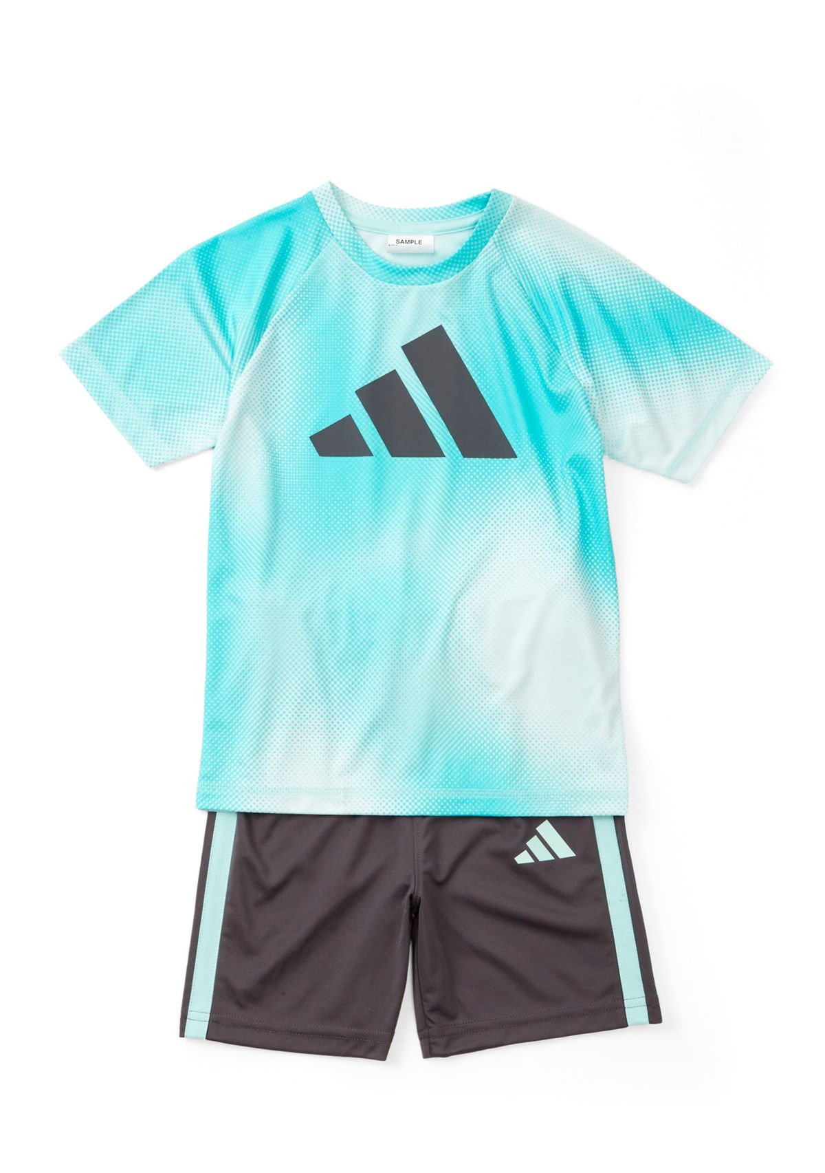 Boys 4-7 2 Piece Short Sleeve Raglan Printed T-Shirt and Short Set