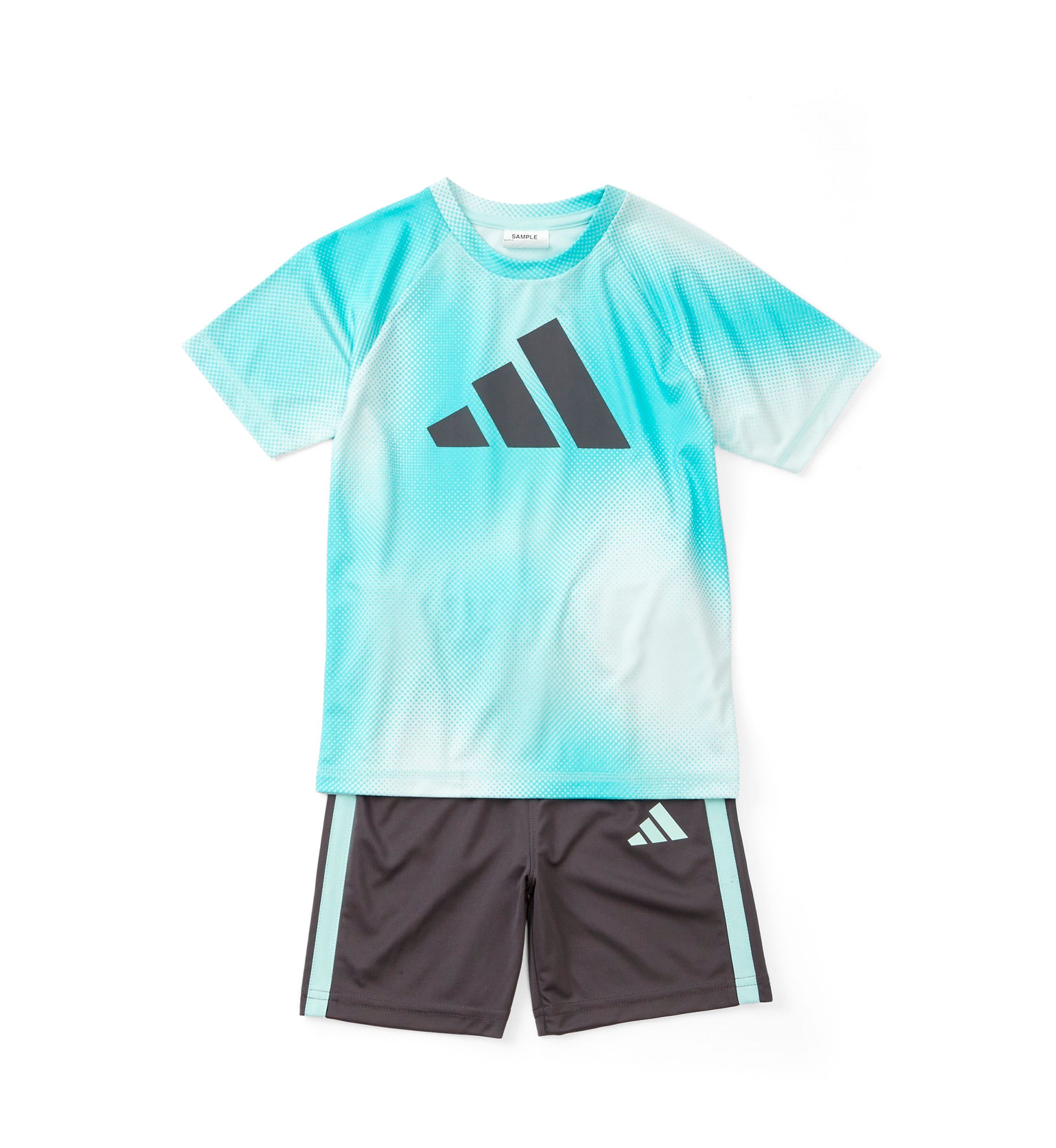 Boys 4-7 2 Piece Short Sleeve Raglan Printed T-Shirt and Short Set