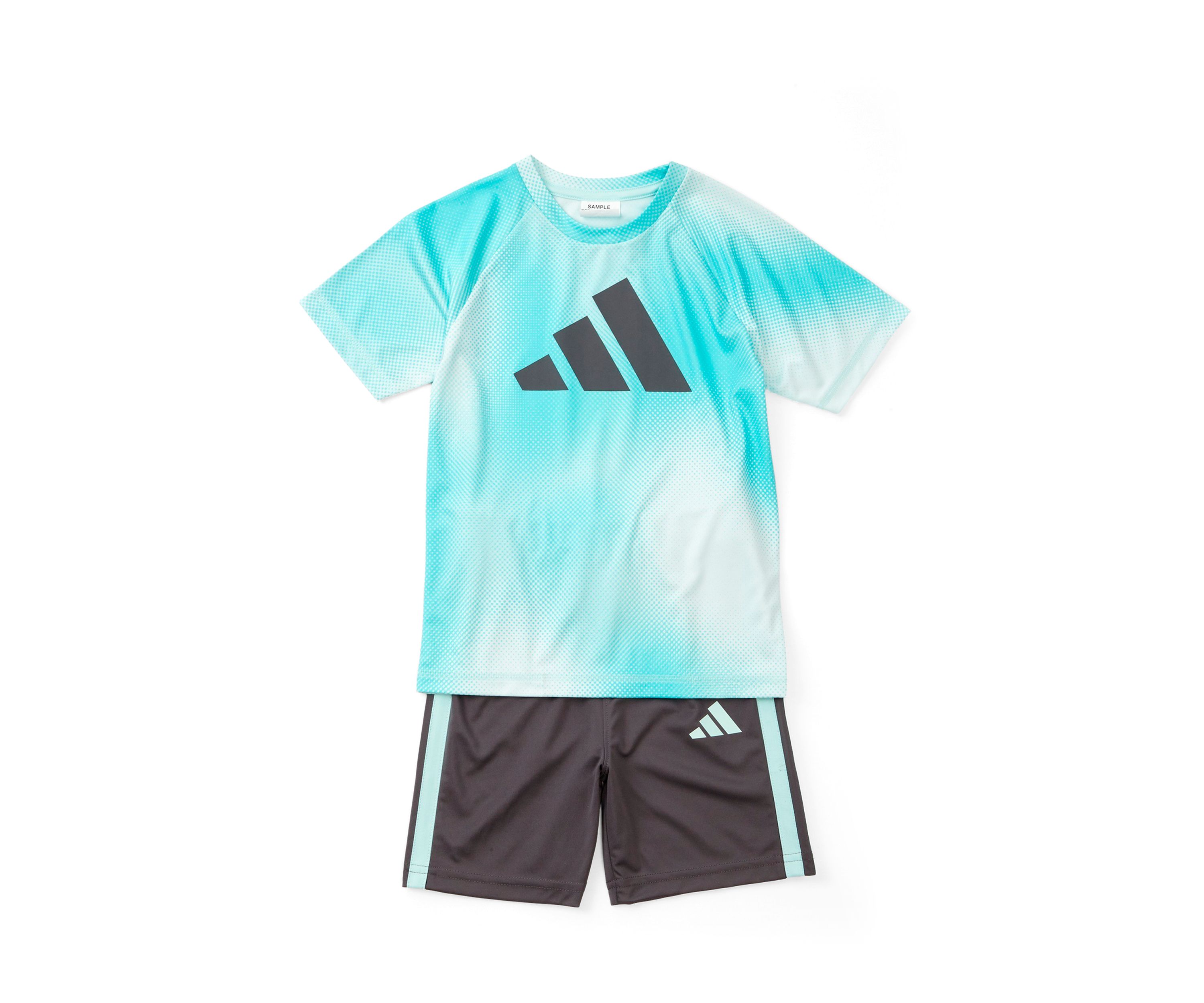 Boys 4-7 2 Piece Short Sleeve Raglan Printed T-Shirt and Short Set