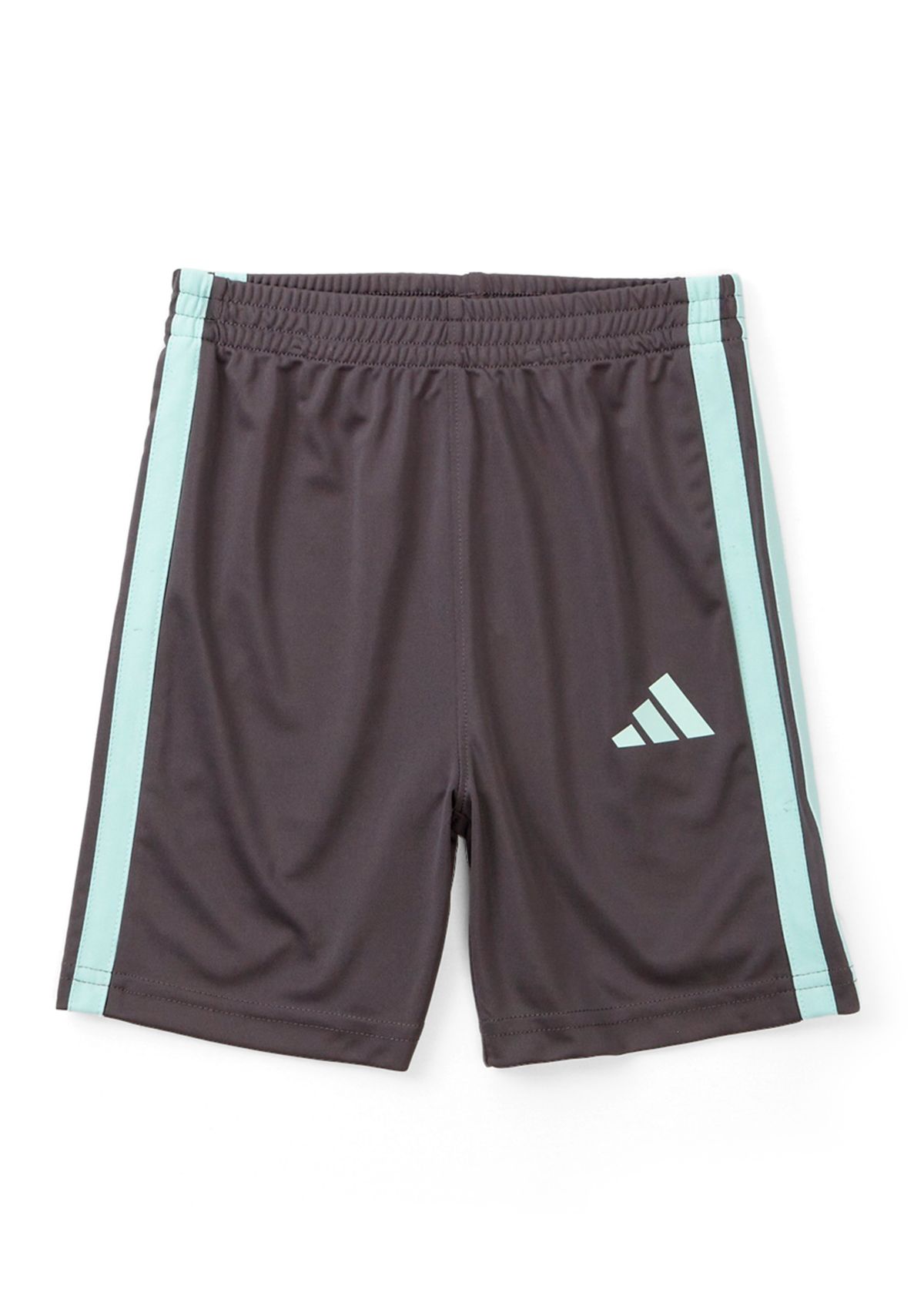 Boys 4-7 2 Piece Short Sleeve Raglan Printed T-Shirt and Short Set