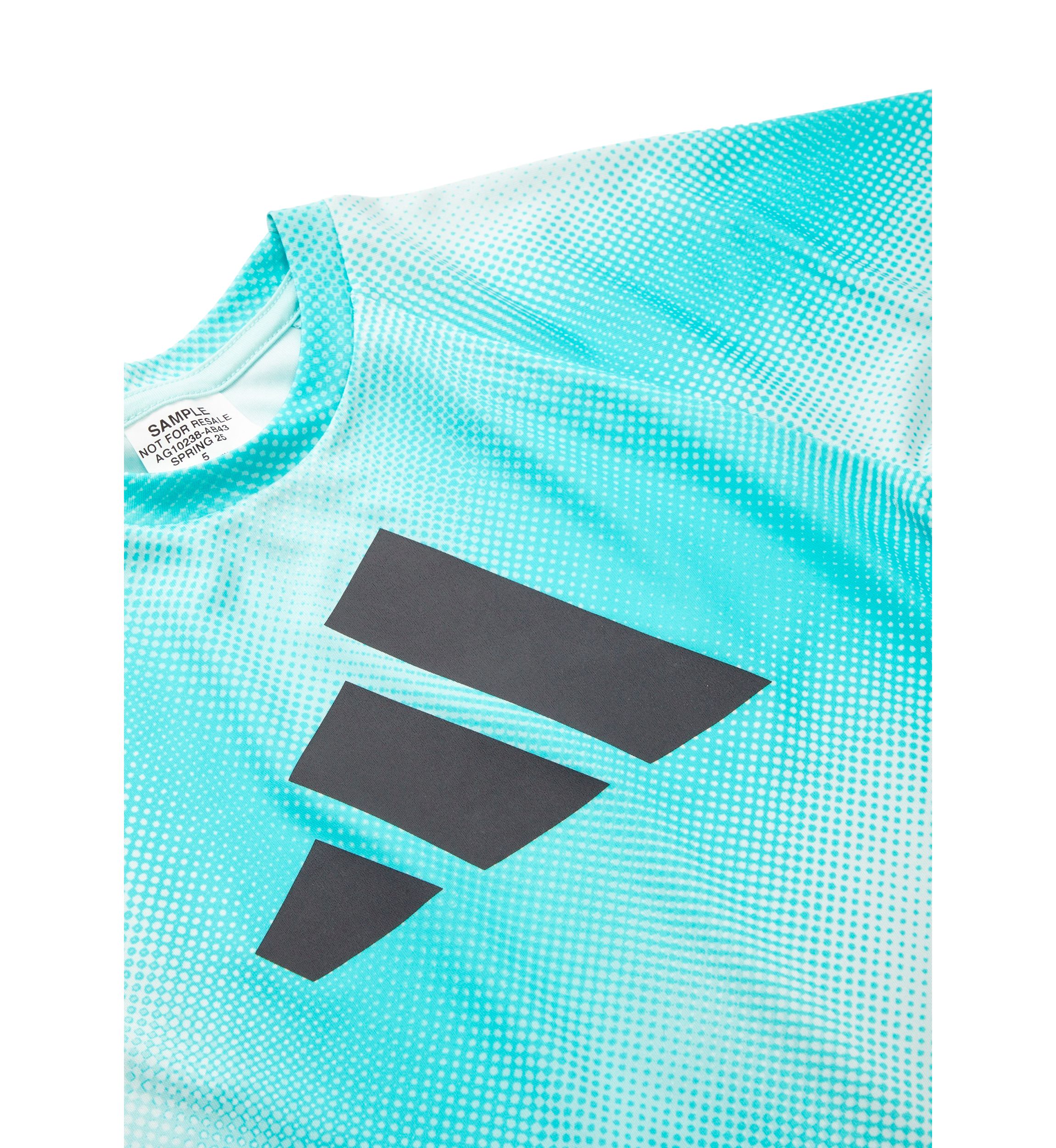Boys 4-7 2 Piece Short Sleeve Raglan Printed T-Shirt and Short Set