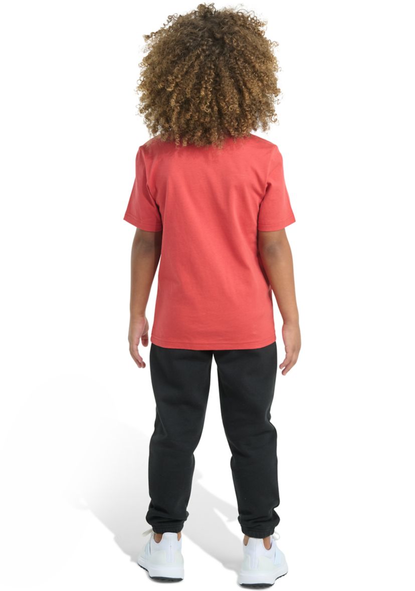 Boys 4-7 Two Piece Short Sleeve T-Shirt & Double Knit Jogger Set
