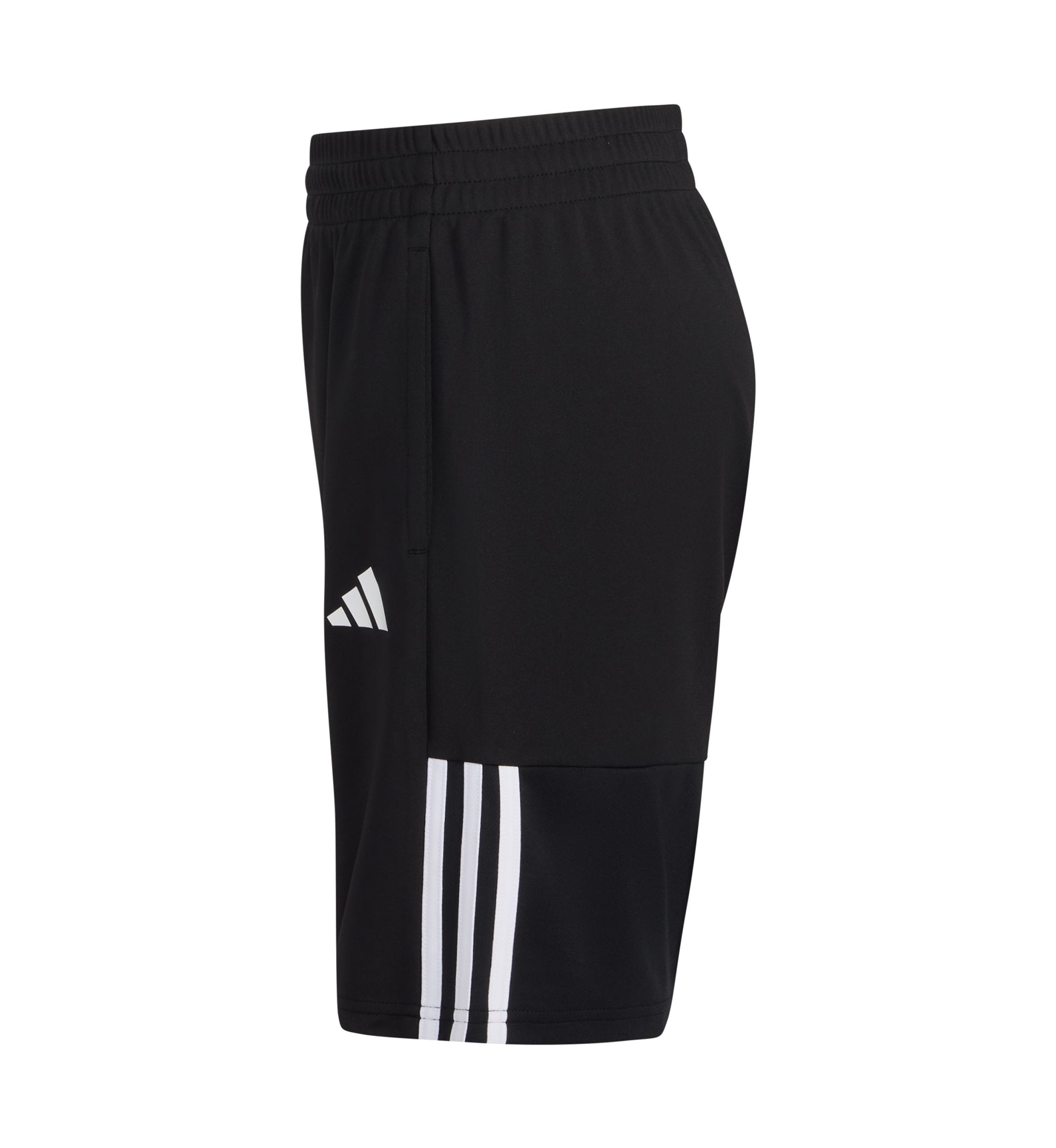 Boys 8-20 Elastic Waistband Sereno Shorts