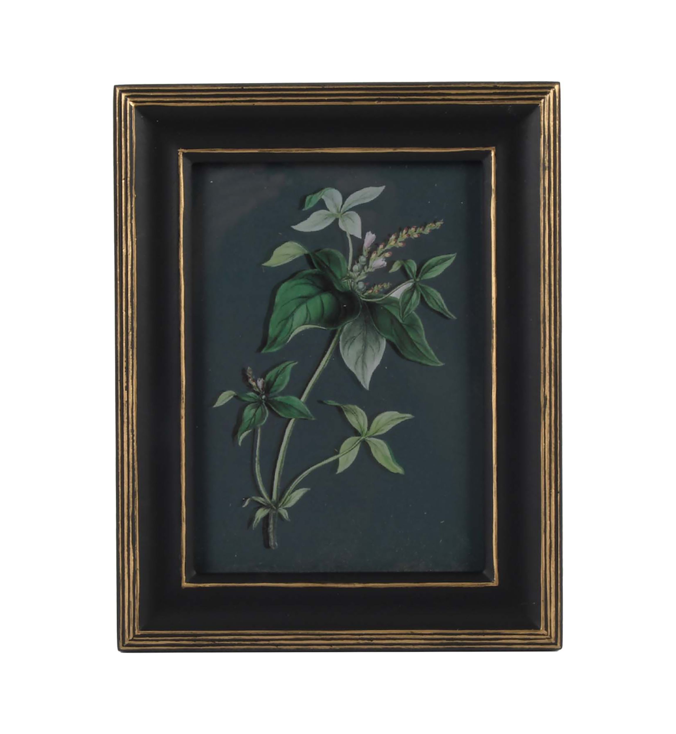 5 x 7 Black & Gold Photo Frame