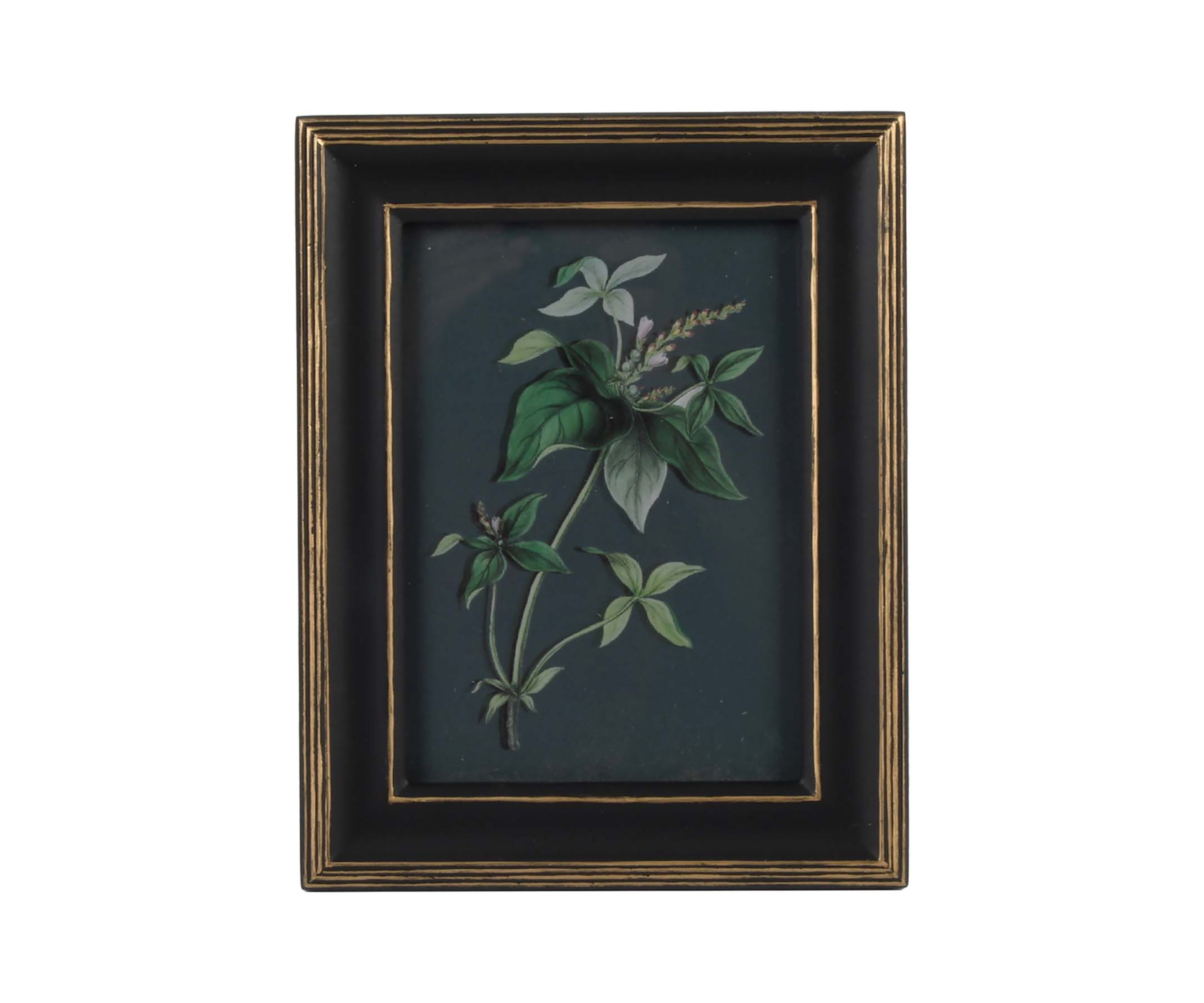 5 x 7 Black & Gold Photo Frame