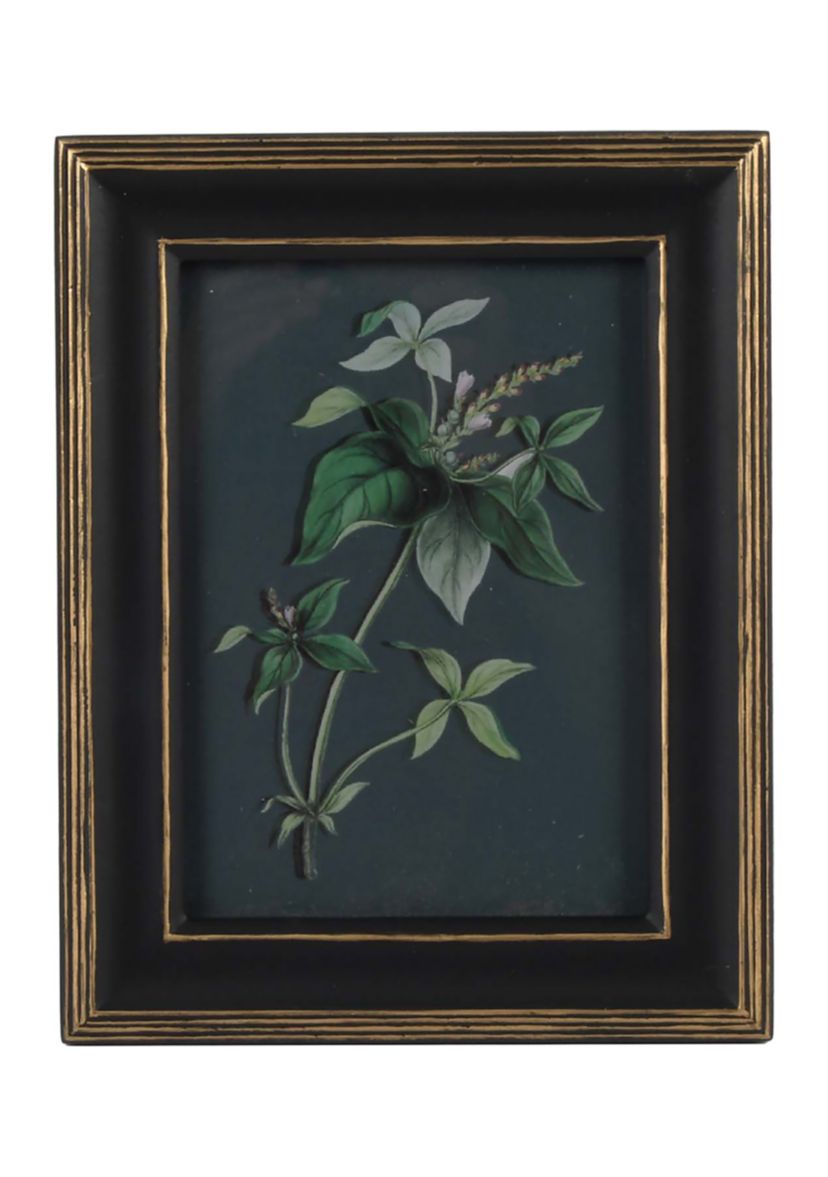 5 x 7 Black & Gold Photo Frame