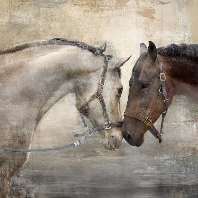 Horse Duo 16x16