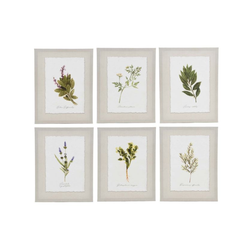 Set of 6 Herbs