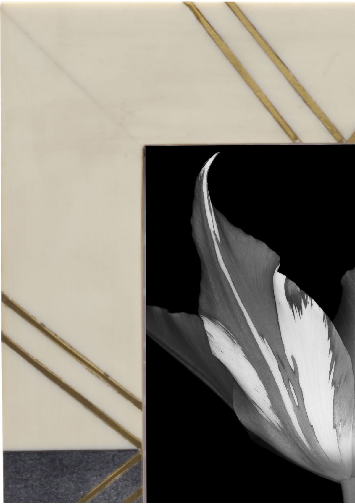 5" x 7" Gold and Black Frame