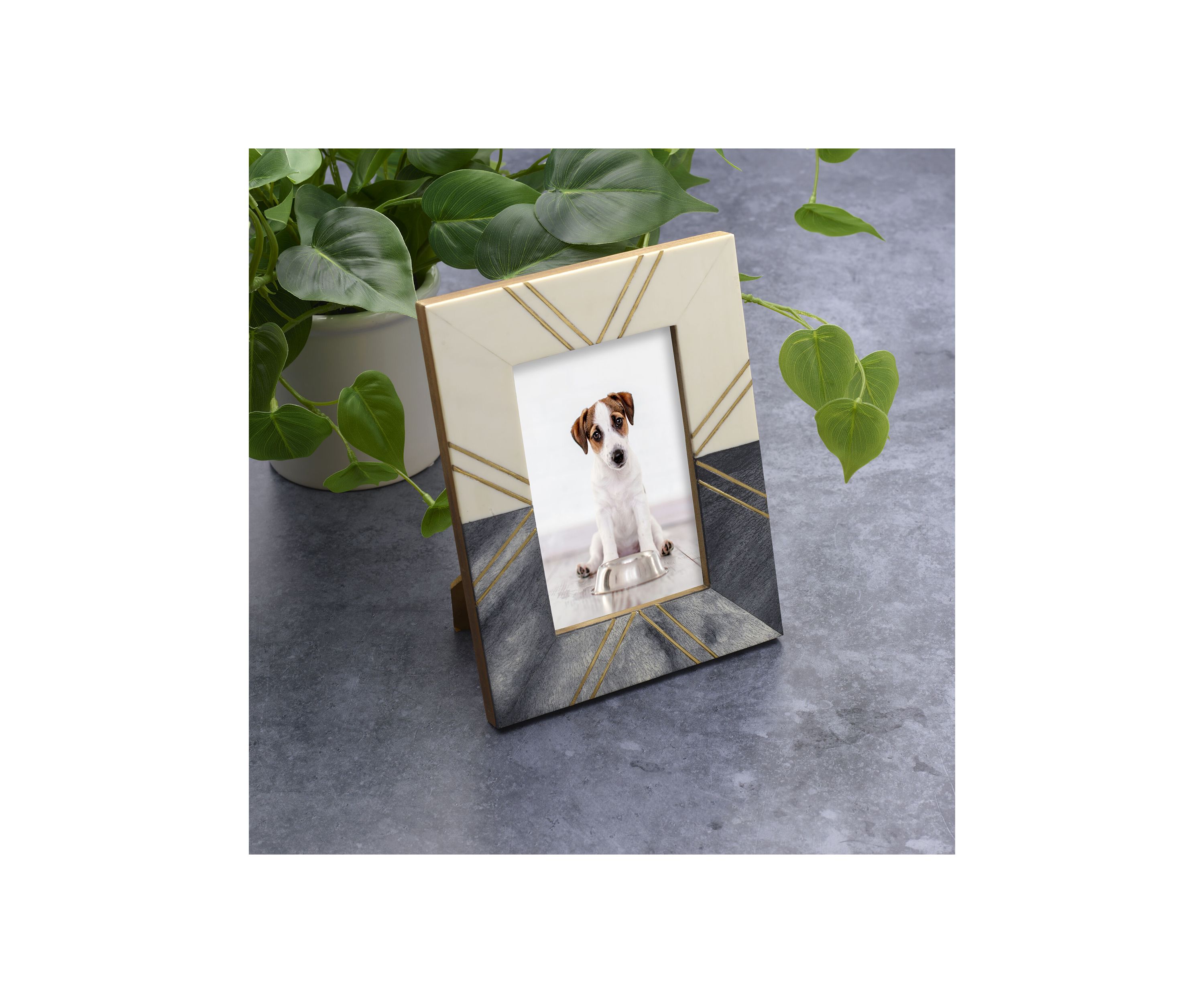 4" x 6" Gold and Black Frame