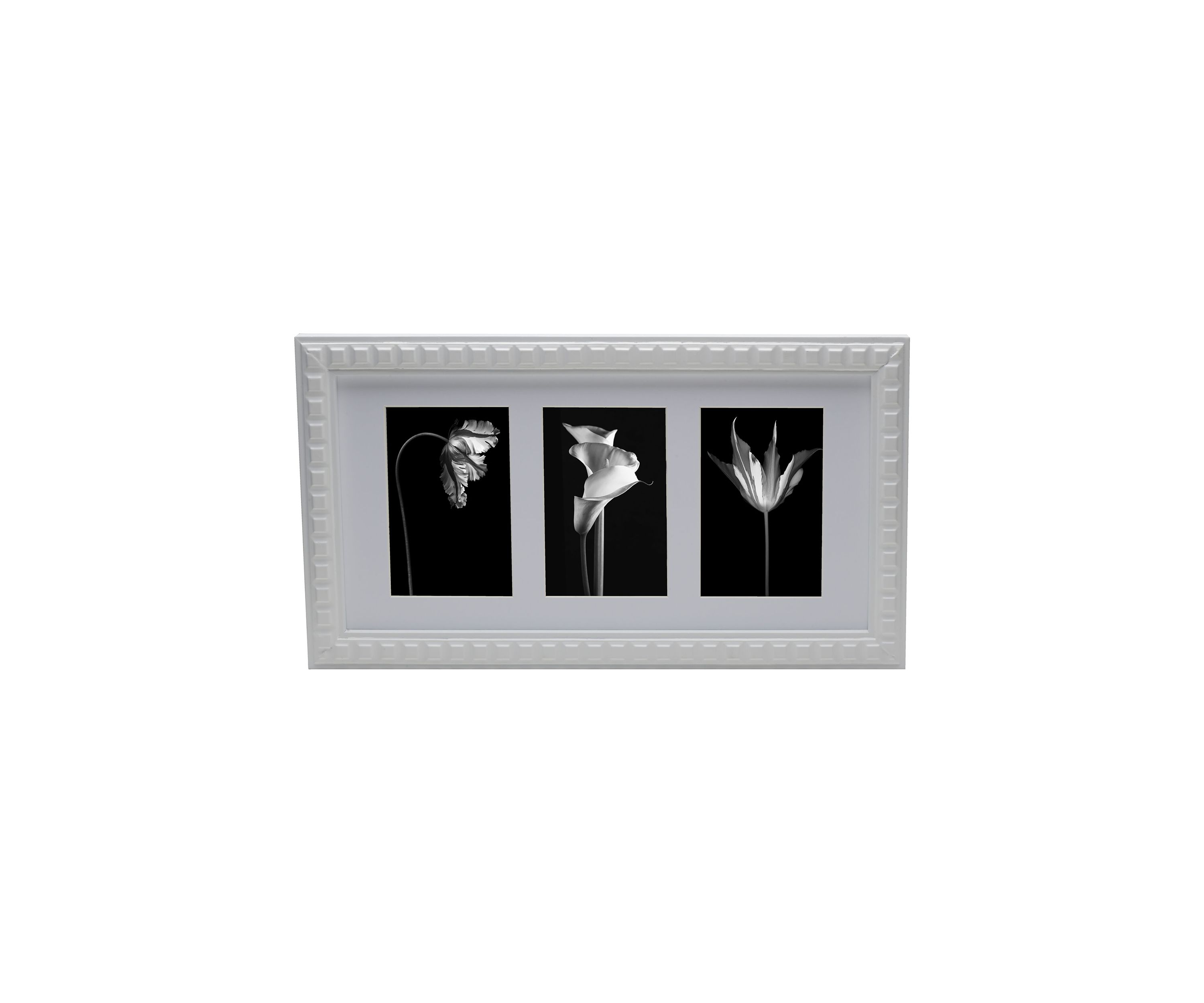 3 Opening White Picture Frame