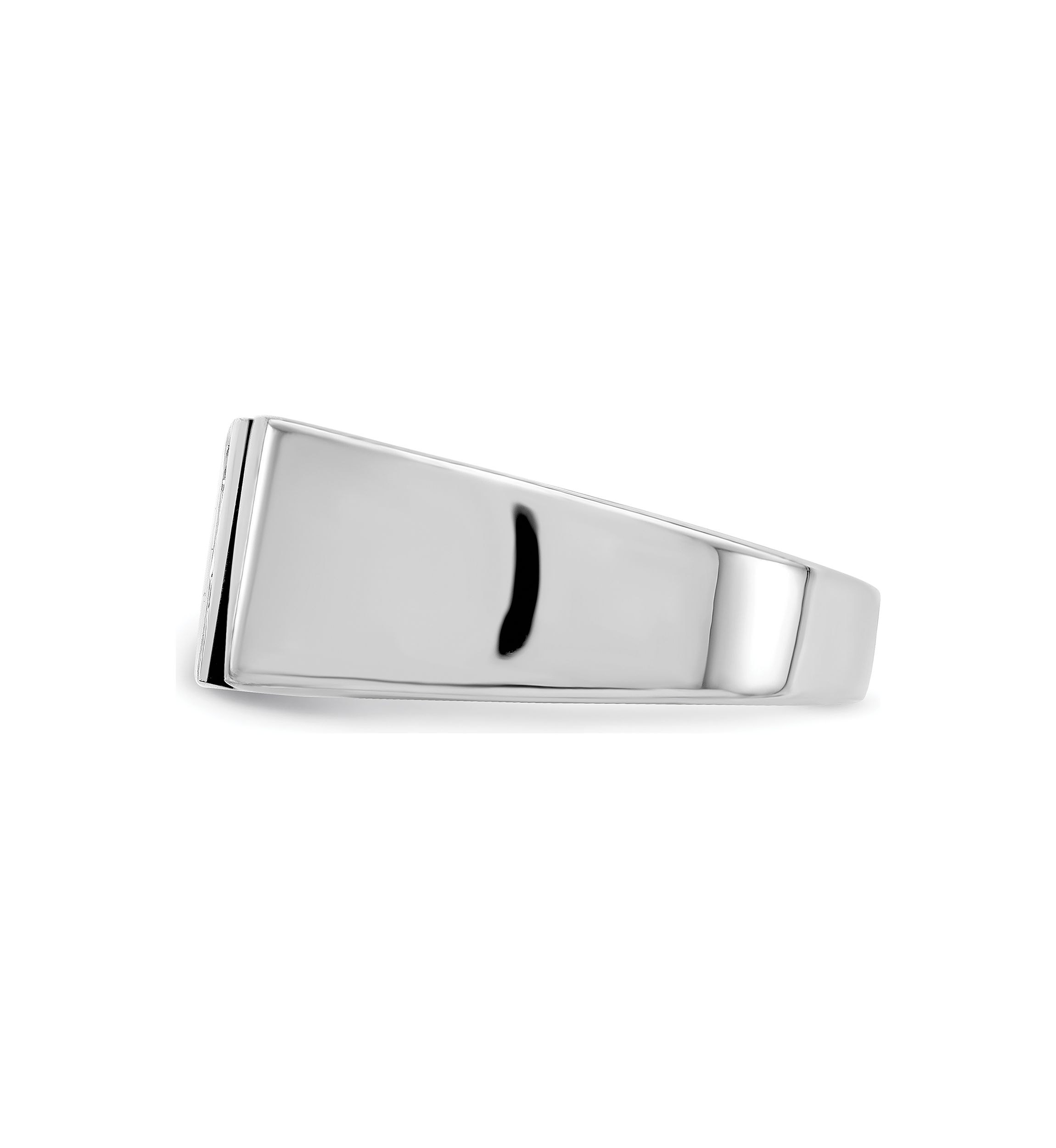 Mens Sterling Silver Rhodium-Plated Cubic Zirconia and Onyx Ring