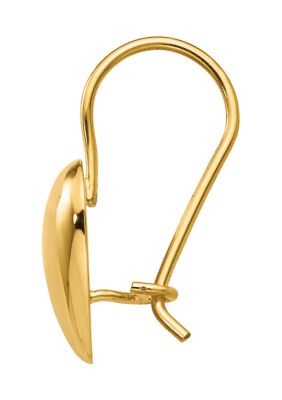 14K Yellow Gold Polished 11.5 Millimeter Puffed Heart Kidney Wire Earrings
