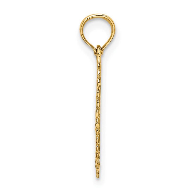 14K Yellow Gold Gold Polished DADDYS LITTLE GIRL Textured Heart Charm