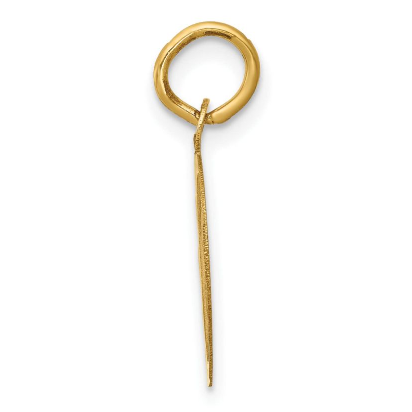 14K Yellow Gold GRADUATION DAY Charm