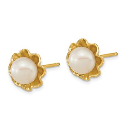 14K Yellow Gold 5-6mm White Button Freshwater Cultured Pearl Post Earrings