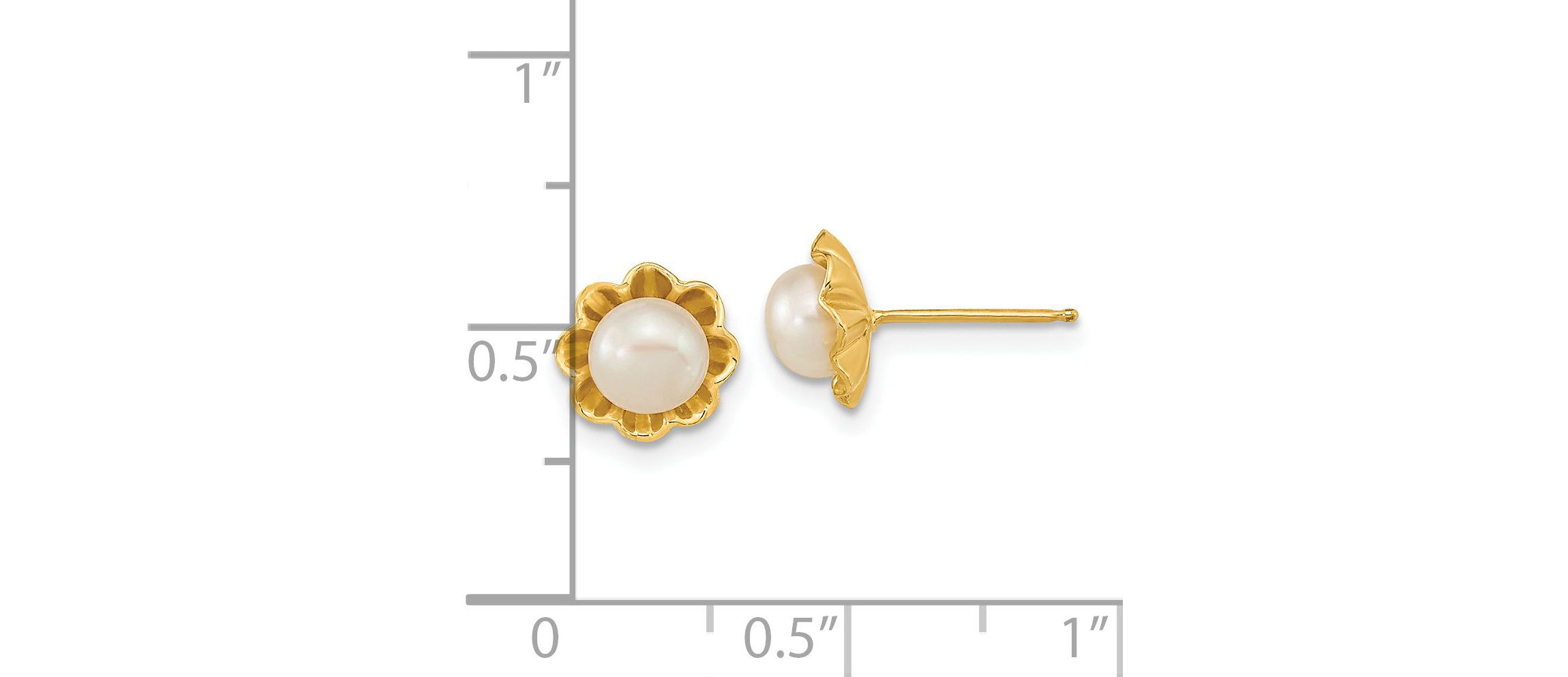 14K Yellow Gold 5-6mm White Button Freshwater Cultured Pearl Post Earrings