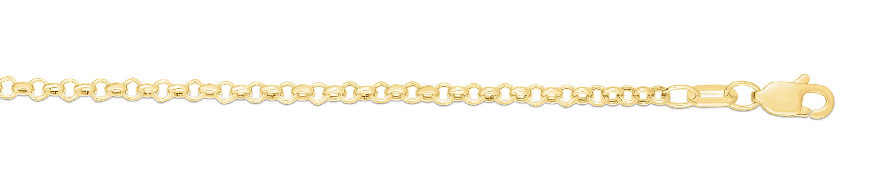10K Yellow Gold Rolo Anklet
