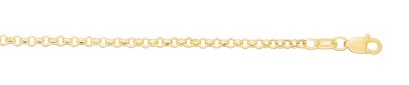 10K Yellow Gold Rolo Anklet