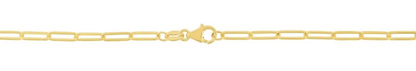 10K Yellow Gold  Paperclip Bracelet