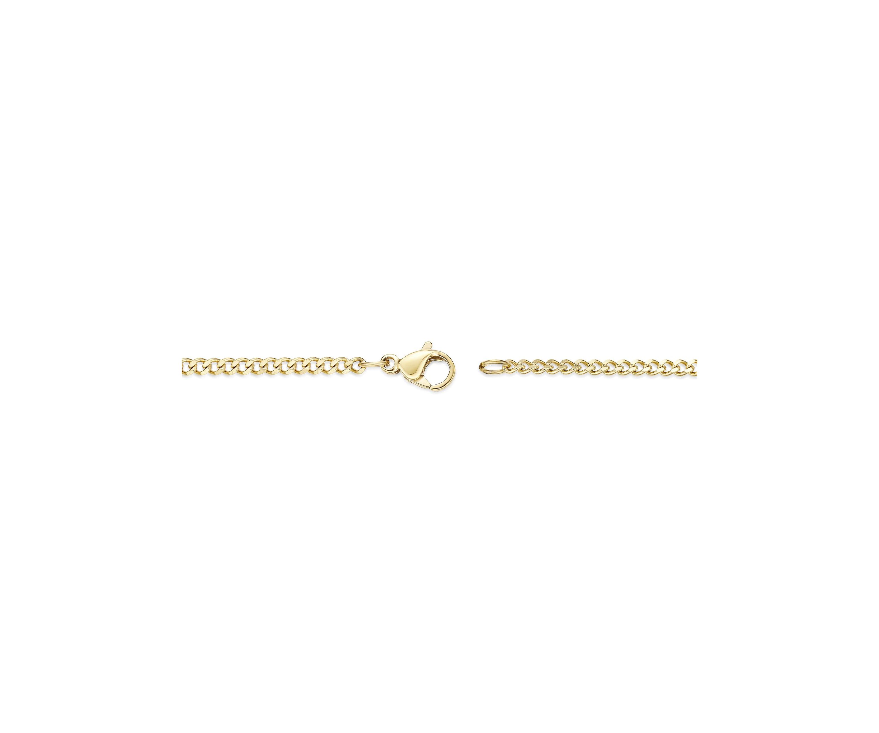Stainless Steel 2MM Curb Chain Necklace with Goldtone Ion Plating, 20" Length