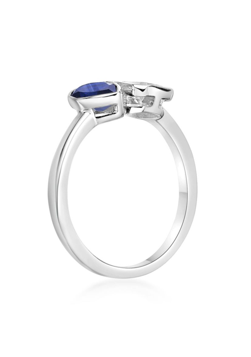 Lab Created 3/4 ct. t.w. Created Blue Sapphire and Created White Sapphire Ring in Sterling Silver