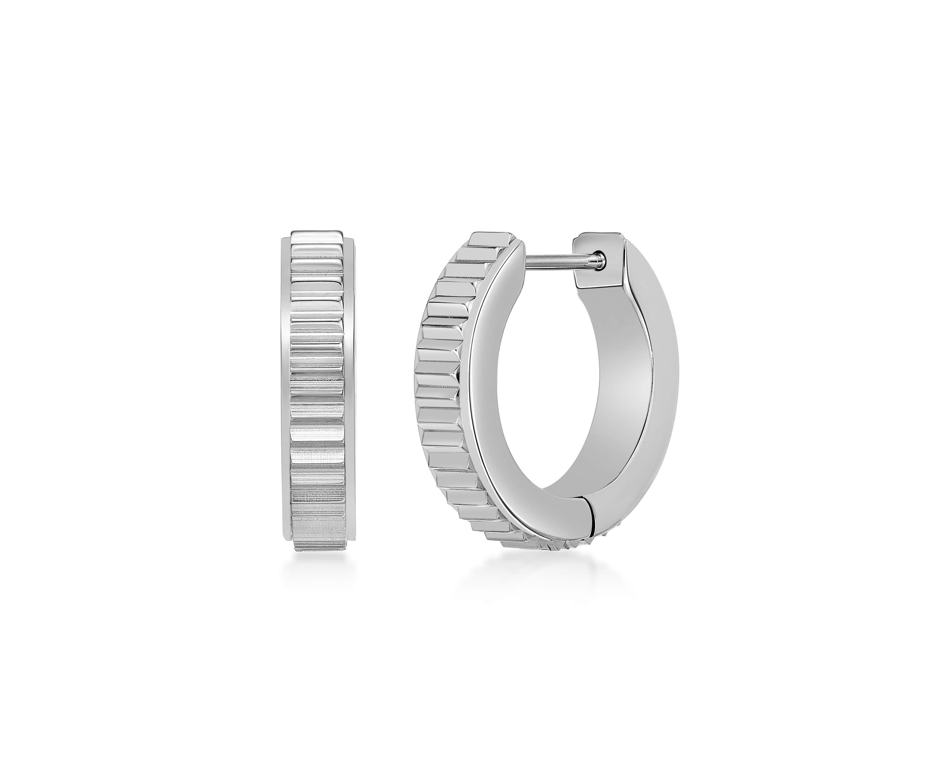Hoop Earrings in Ion Plated Stainless Steel