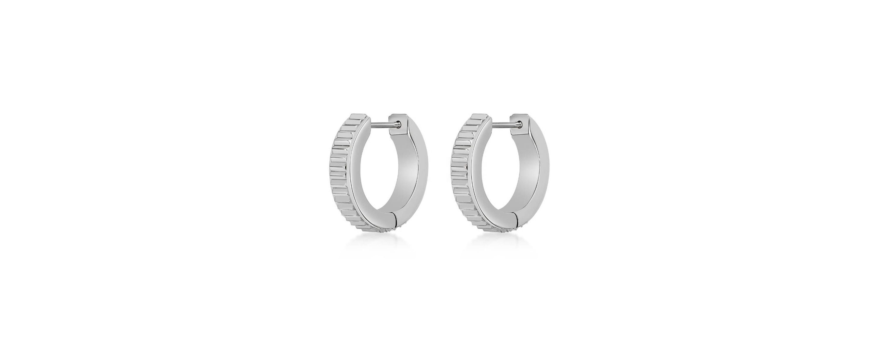 Hoop Earrings in Ion Plated Stainless Steel
