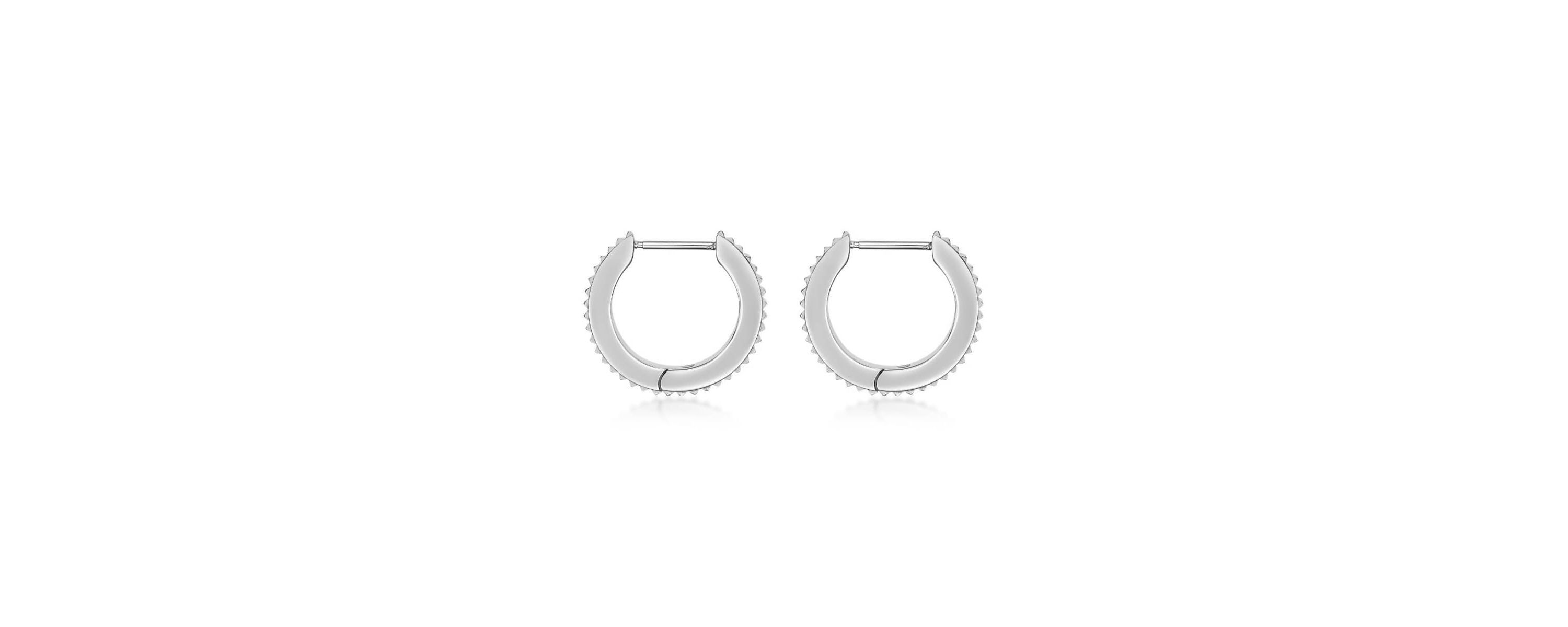 Hoop Earrings in Ion Plated Stainless Steel