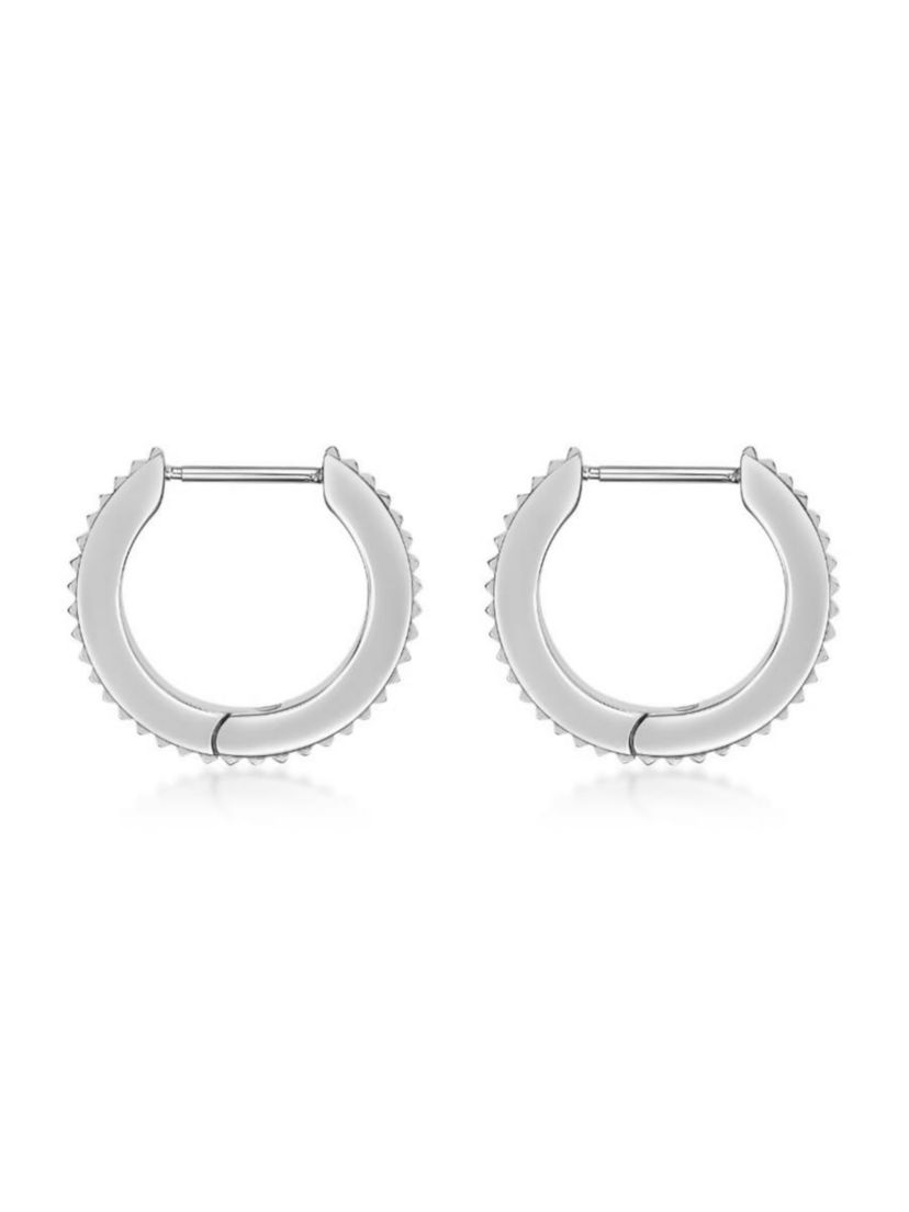 Hoop Earrings in Ion Plated Stainless Steel