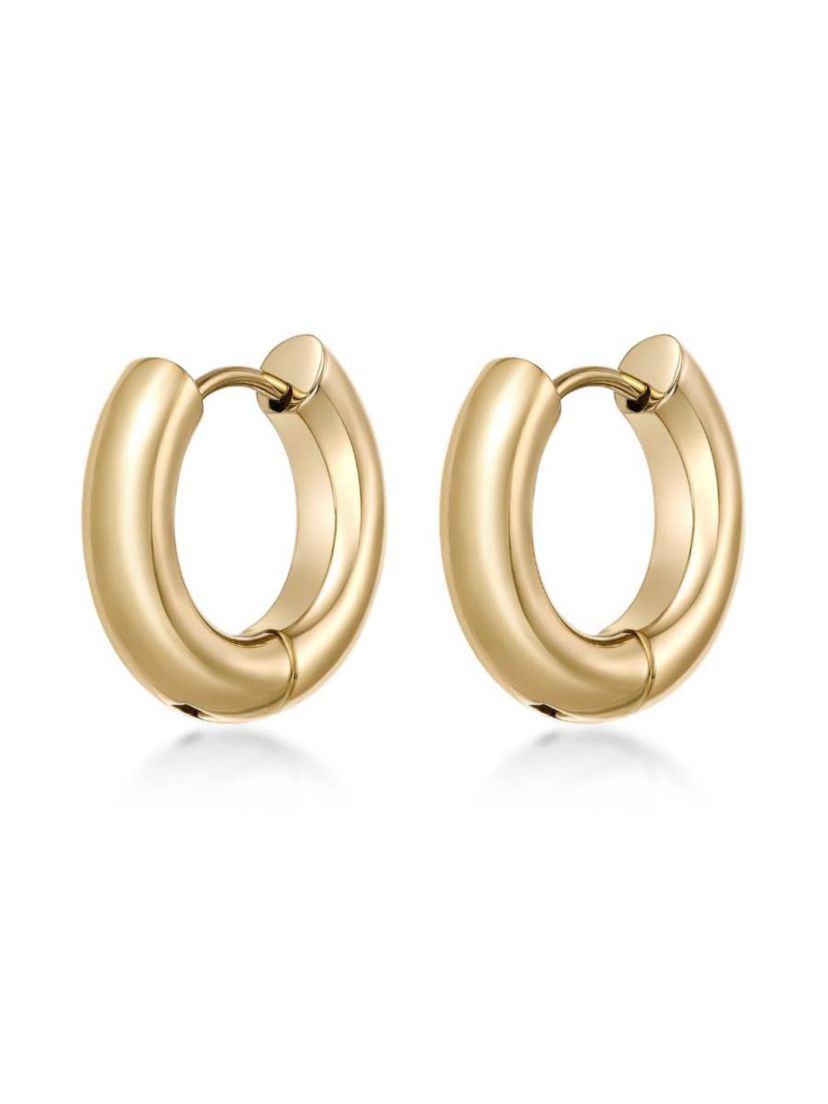 Hoop Earrings in Ion Plated Stainless Steel