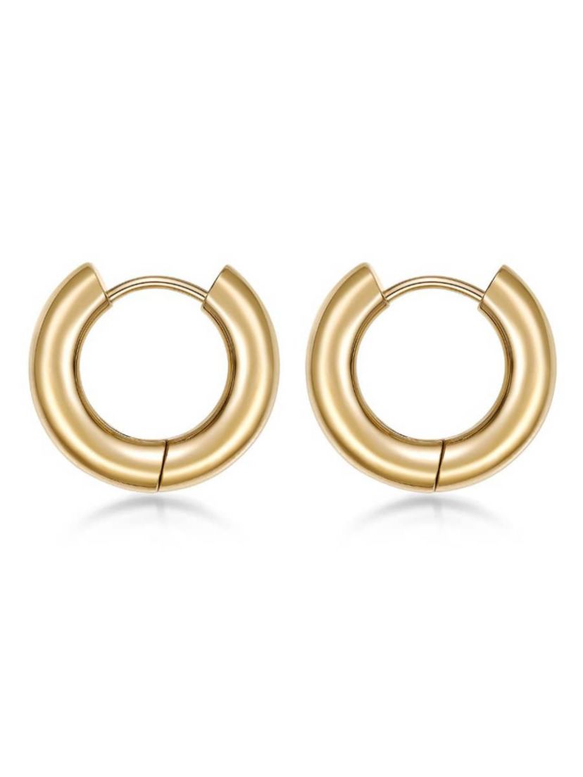 Hoop Earrings in Ion Plated Stainless Steel