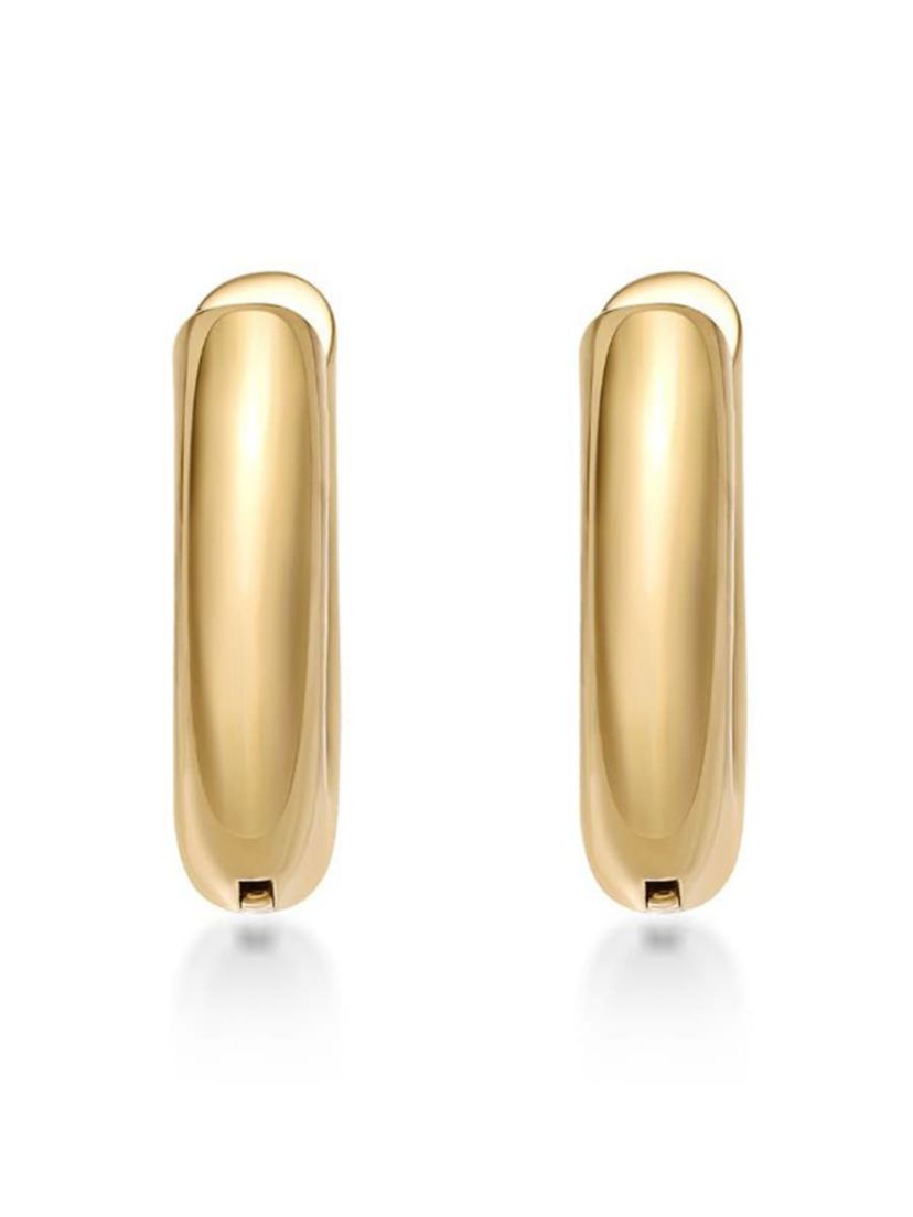 Hoop Earrings in Ion Plated Stainless Steel