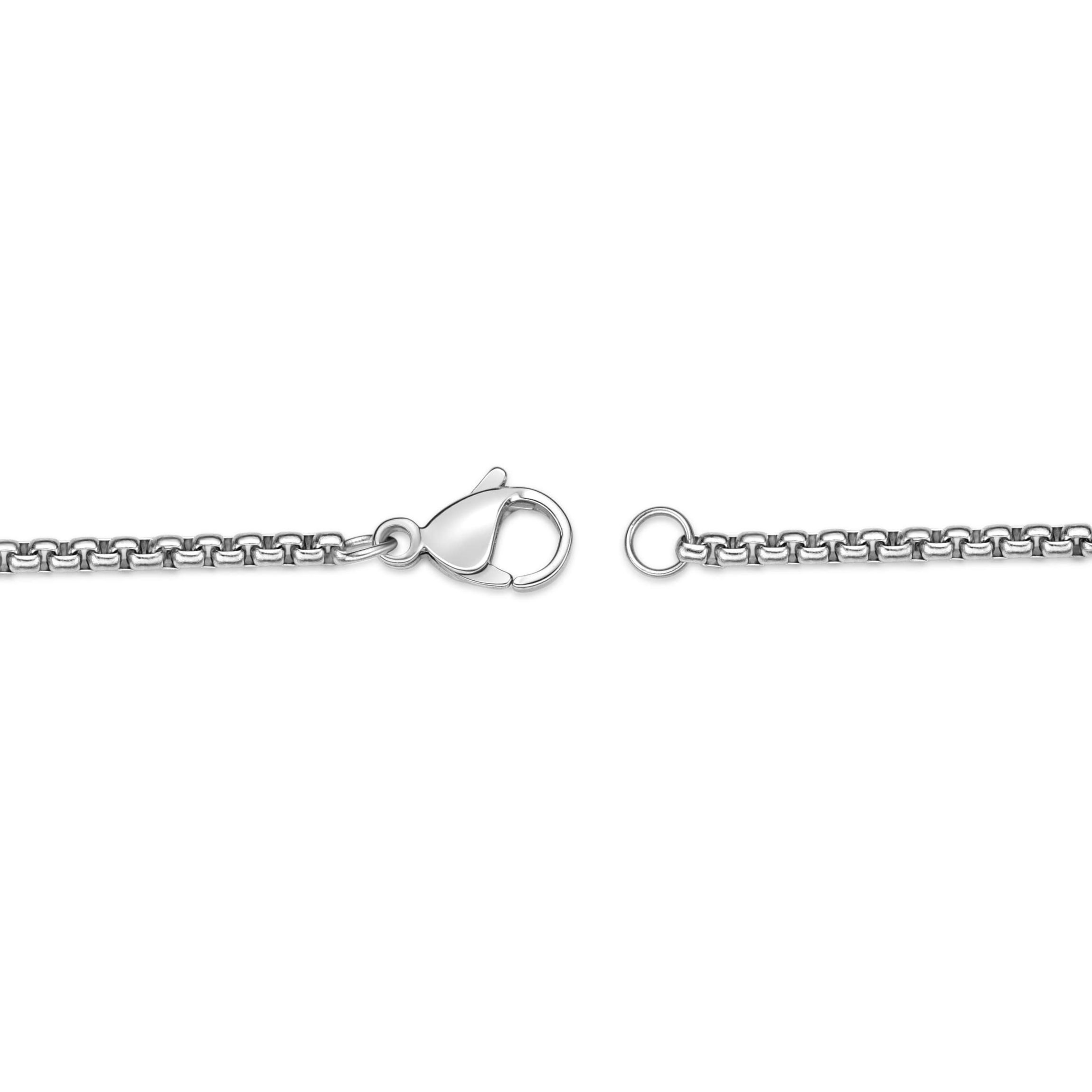 Stainless Steel Cubic Zirconia Lion Dog Tag Pendant Necklace