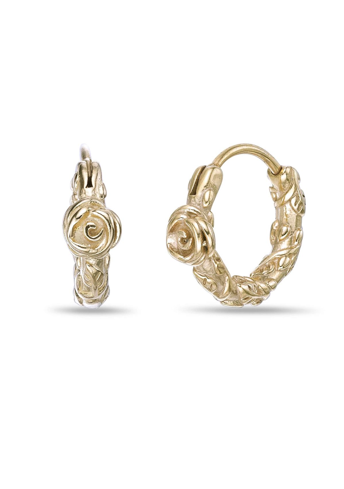 Hoop Earrings in Gold Tone Ion Plated Stainless Steel