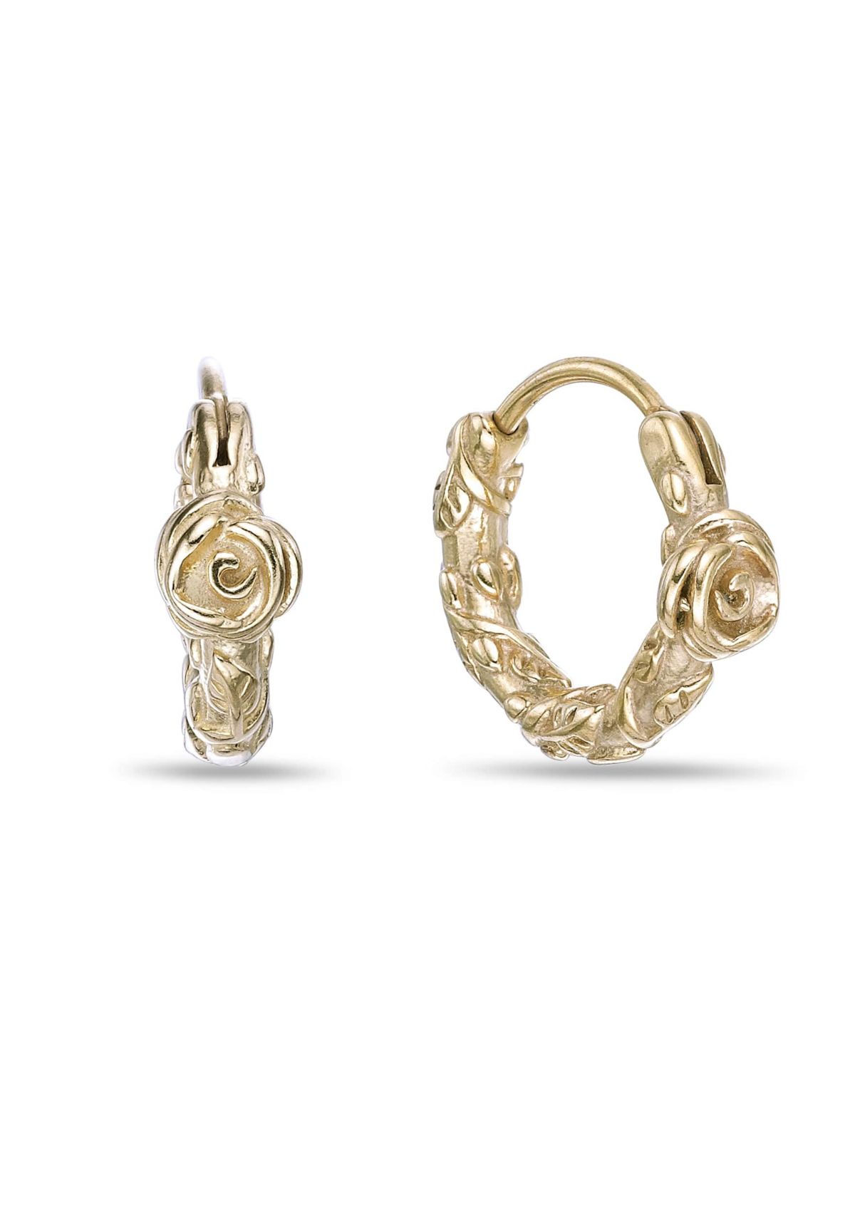 Hoop Earrings in Gold Tone Ion Plated Stainless Steel