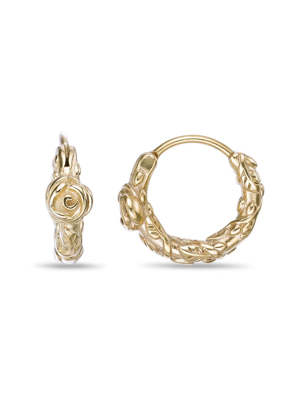 Hoop Earrings in Gold Tone Ion Plated Stainless Steel