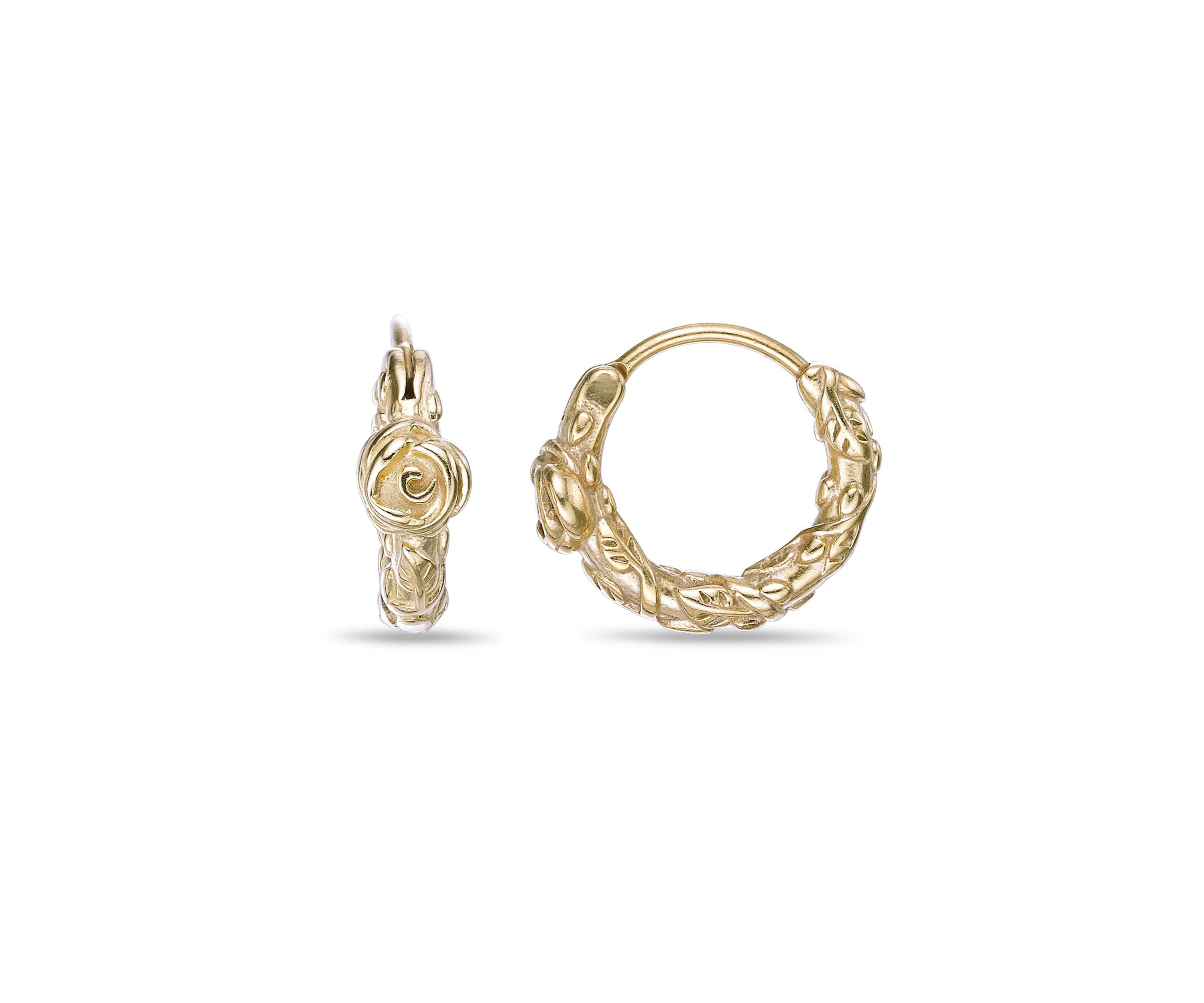 Hoop Earrings in Gold Tone Ion Plated Stainless Steel