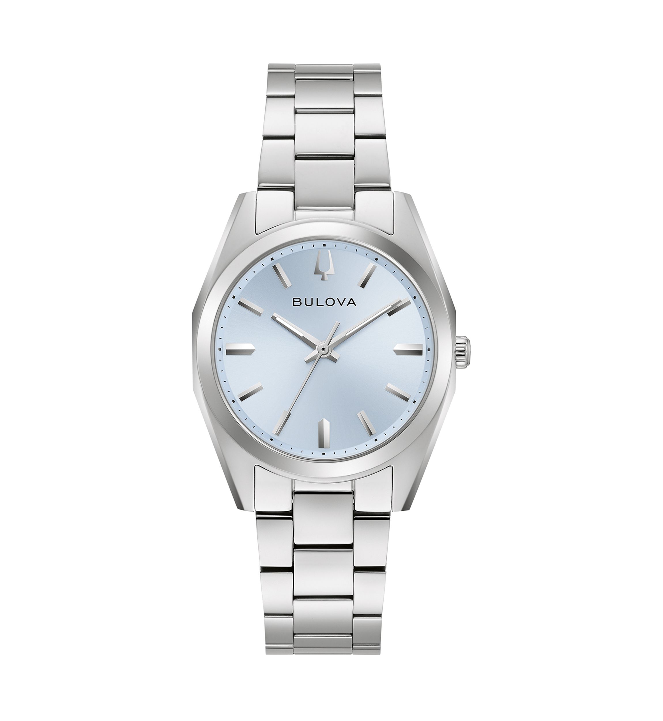 Surveyor Watch 