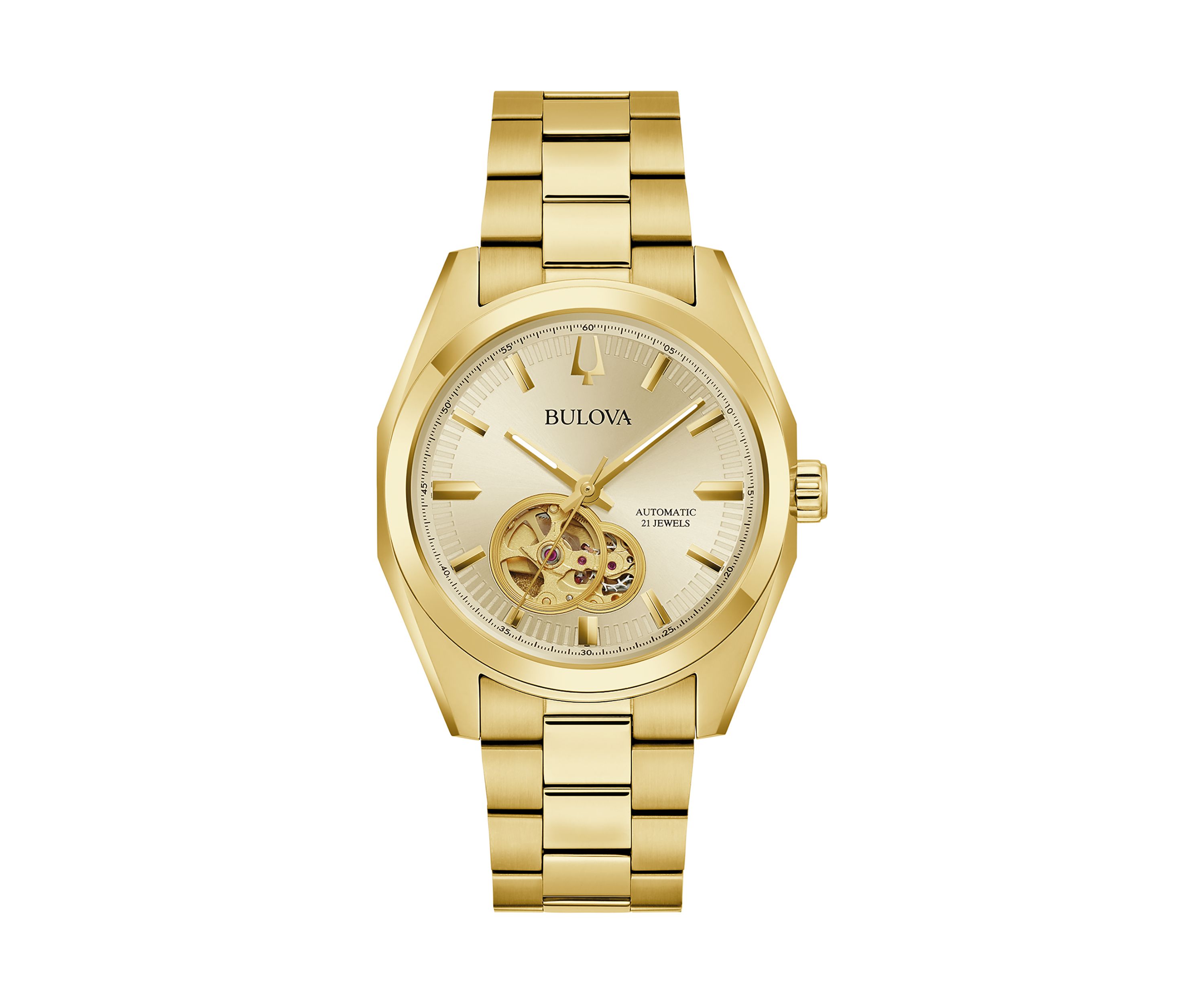 Surveyor Watch